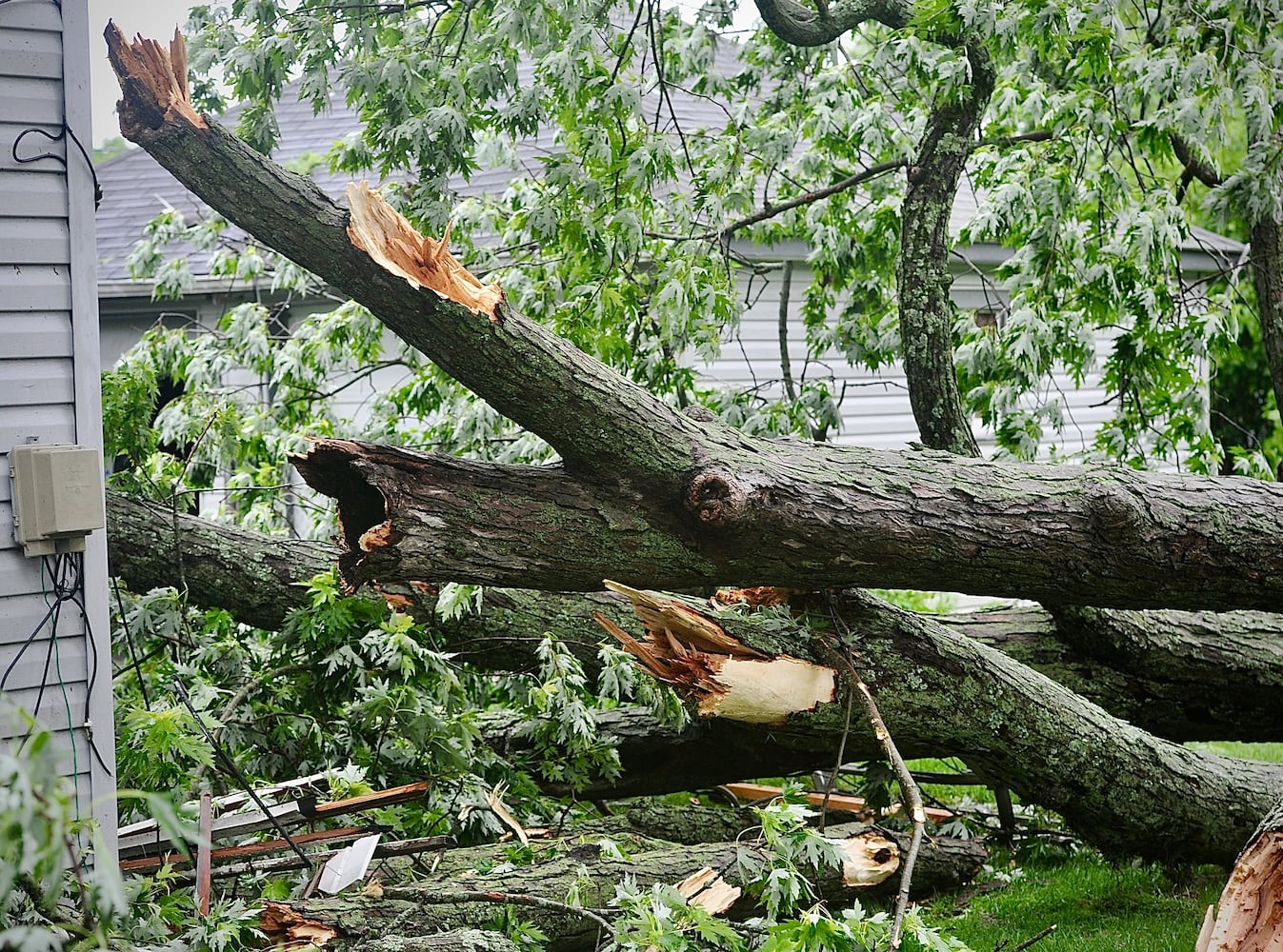 Springfield storm damage