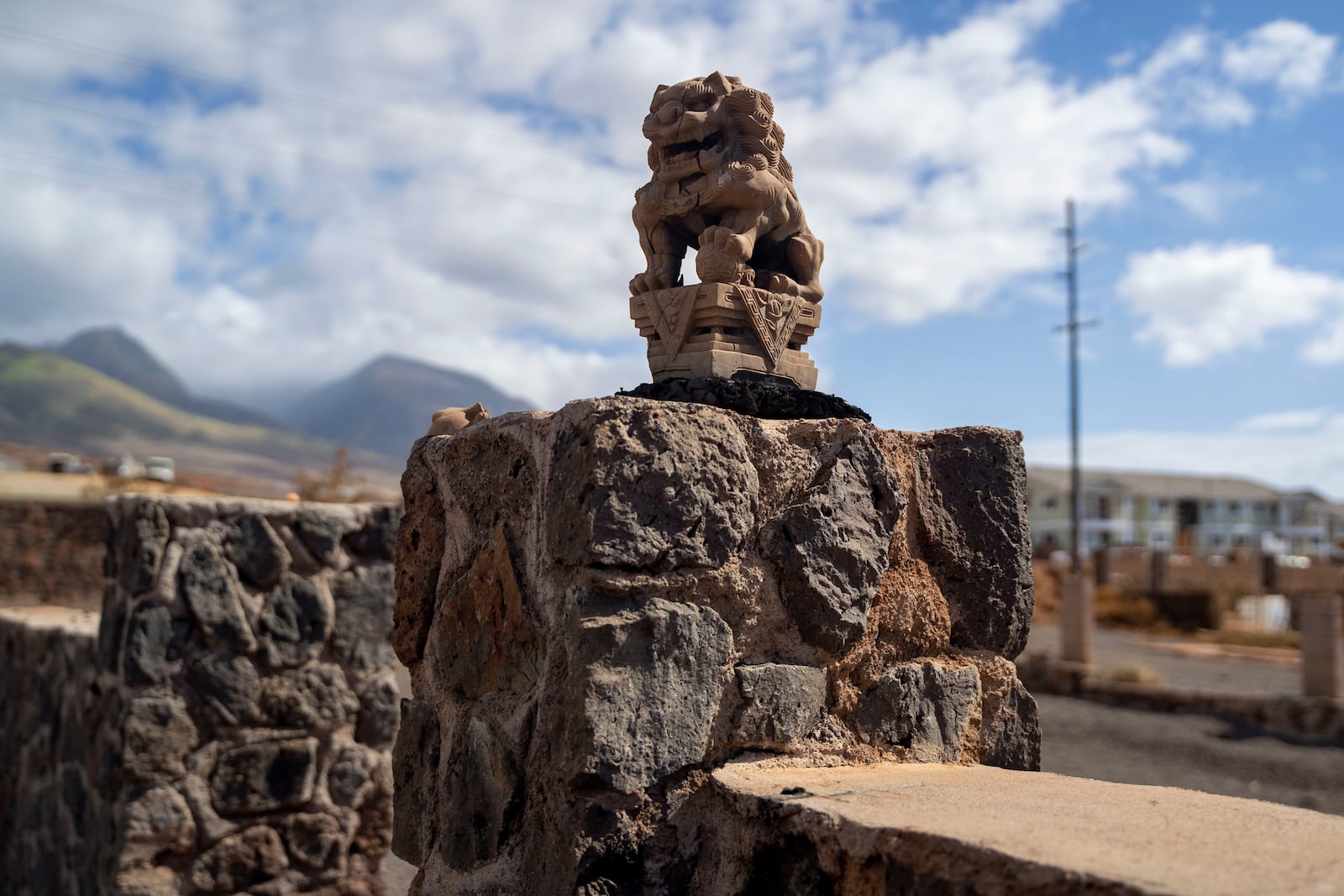 A lion statue is pictured at the remains of Tamara Akiona's house, Thursday, Dec. 12, 2024, in Lahaina, Hawaii. Akiona's father passed down the set of statues from his restaurant to her. (AP Photo/Mengshin Lin)