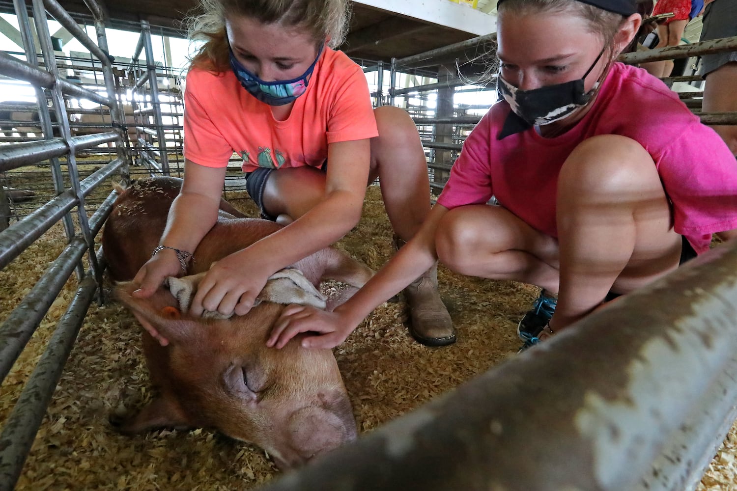 Clark County Fair