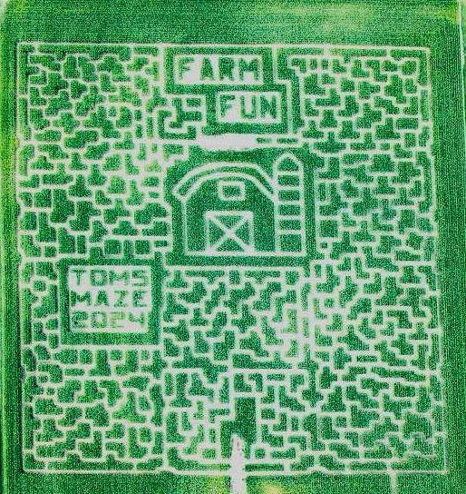 In its 27th year, Tom's Maze has been recognized nationally as a "must-see" and "one of the best." - CONTRIBUTED