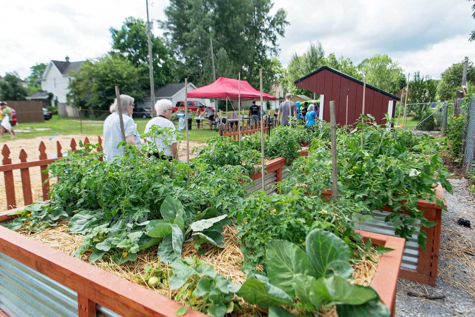 Eight community gardens and neighborhood parks will be featured in this year’s third annual South Side in Bloom that will be held from 10 a.m. to 4 p.m. on Saturday, July 27. Contributed