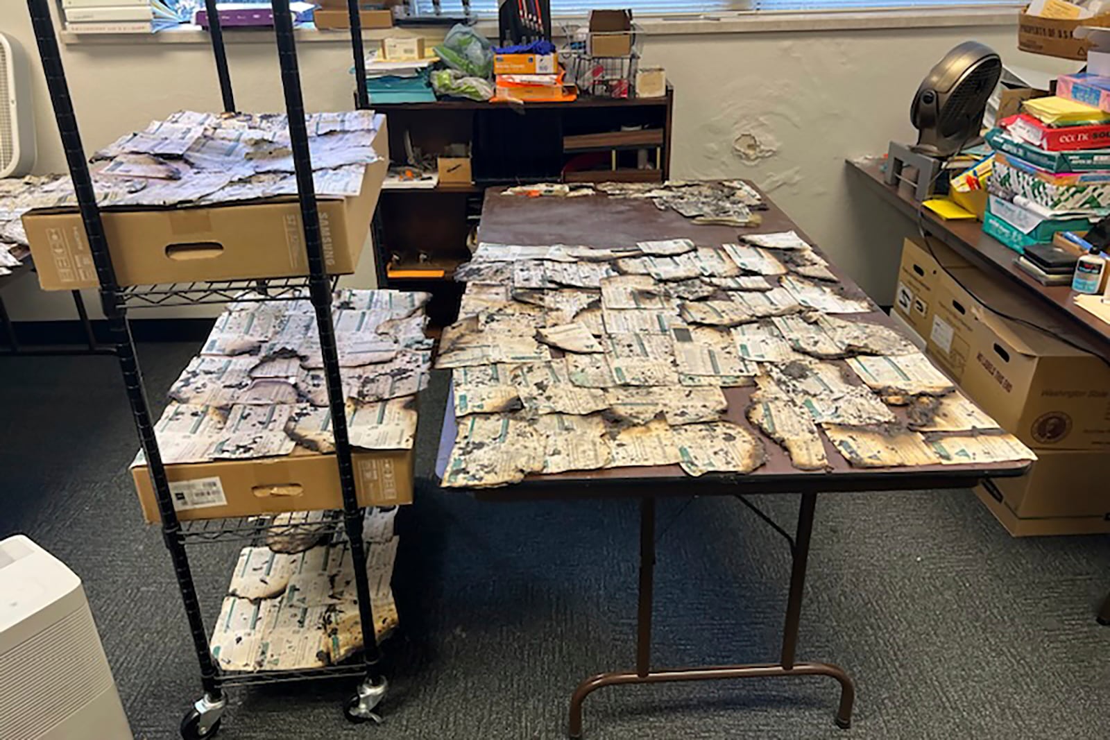 In this image provided by the Clark County Auditor's Office, ballots damaged in a drop box arson in Vancouver, Wash., are spread on tables on Monday, Oct. 28, 2024. (Greg Kimsey/Clark County Auditor's Office via AP)