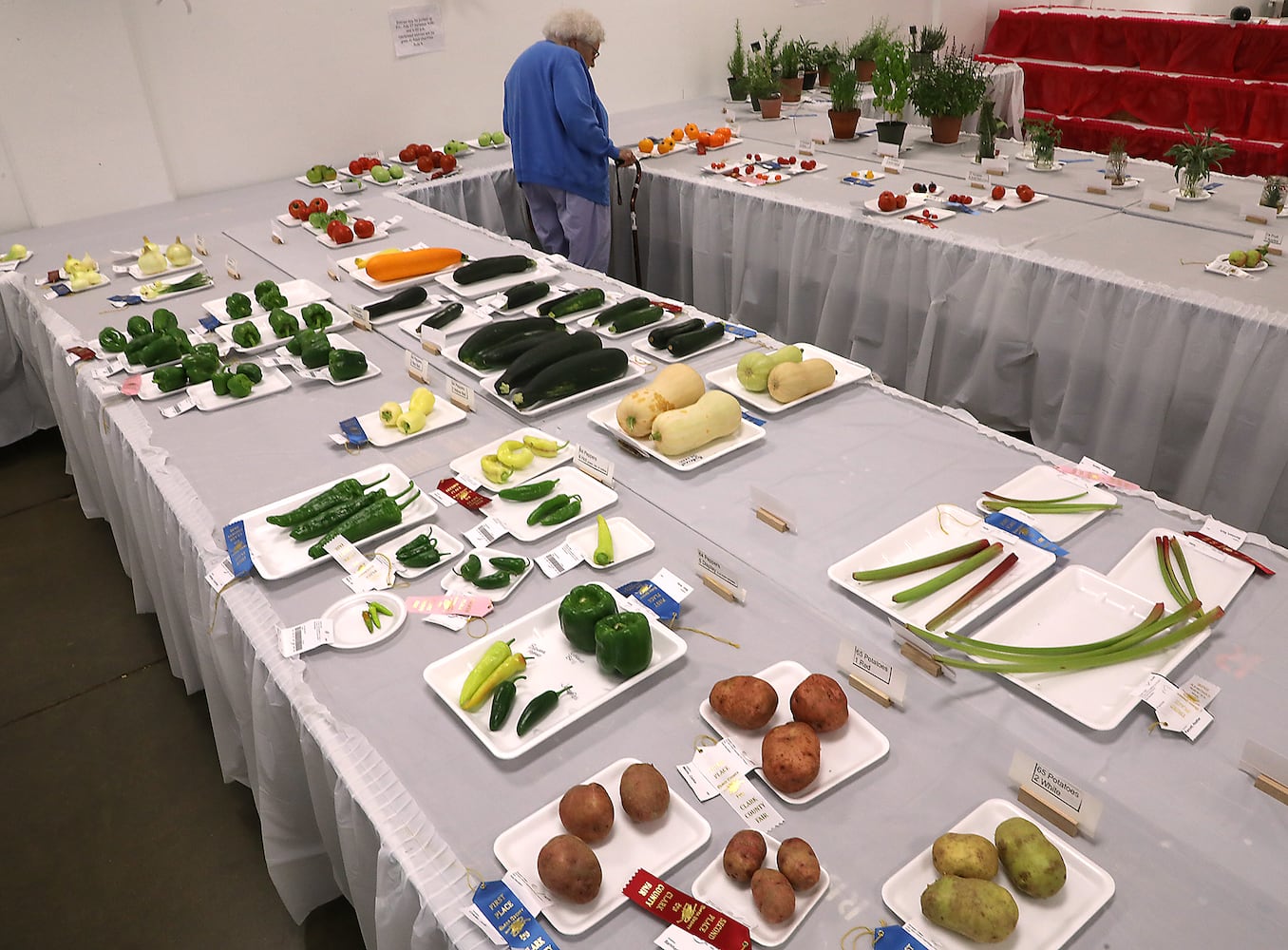 2018 Clark County Fair Day 5