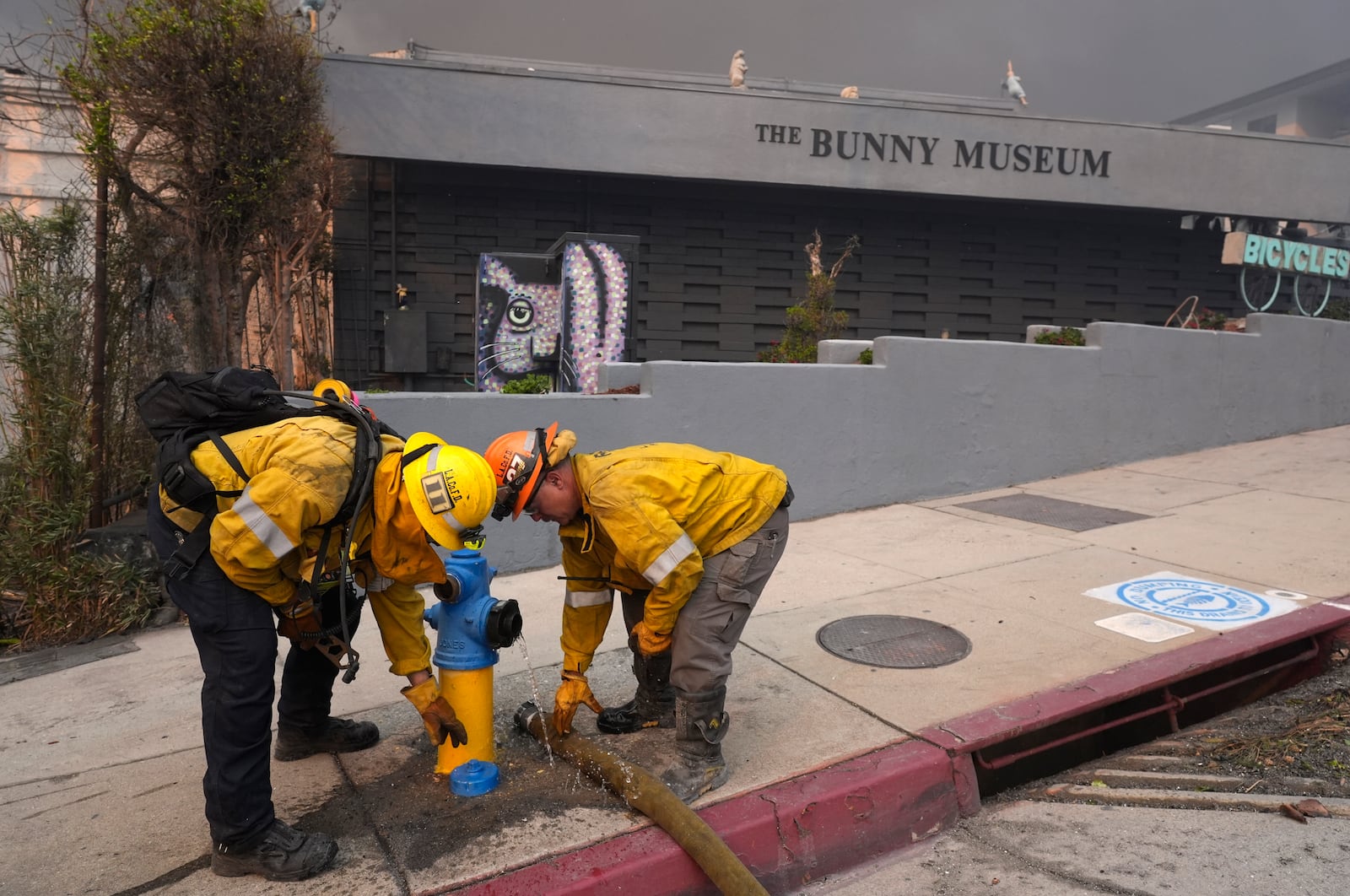 FILE - Firefighters work a hydrant in front of the burning Bunny Museum, Jan. 8, 2025, in the Altadena section of Pasadena, Calif. (AP Photo/Chris Pizzello, File)