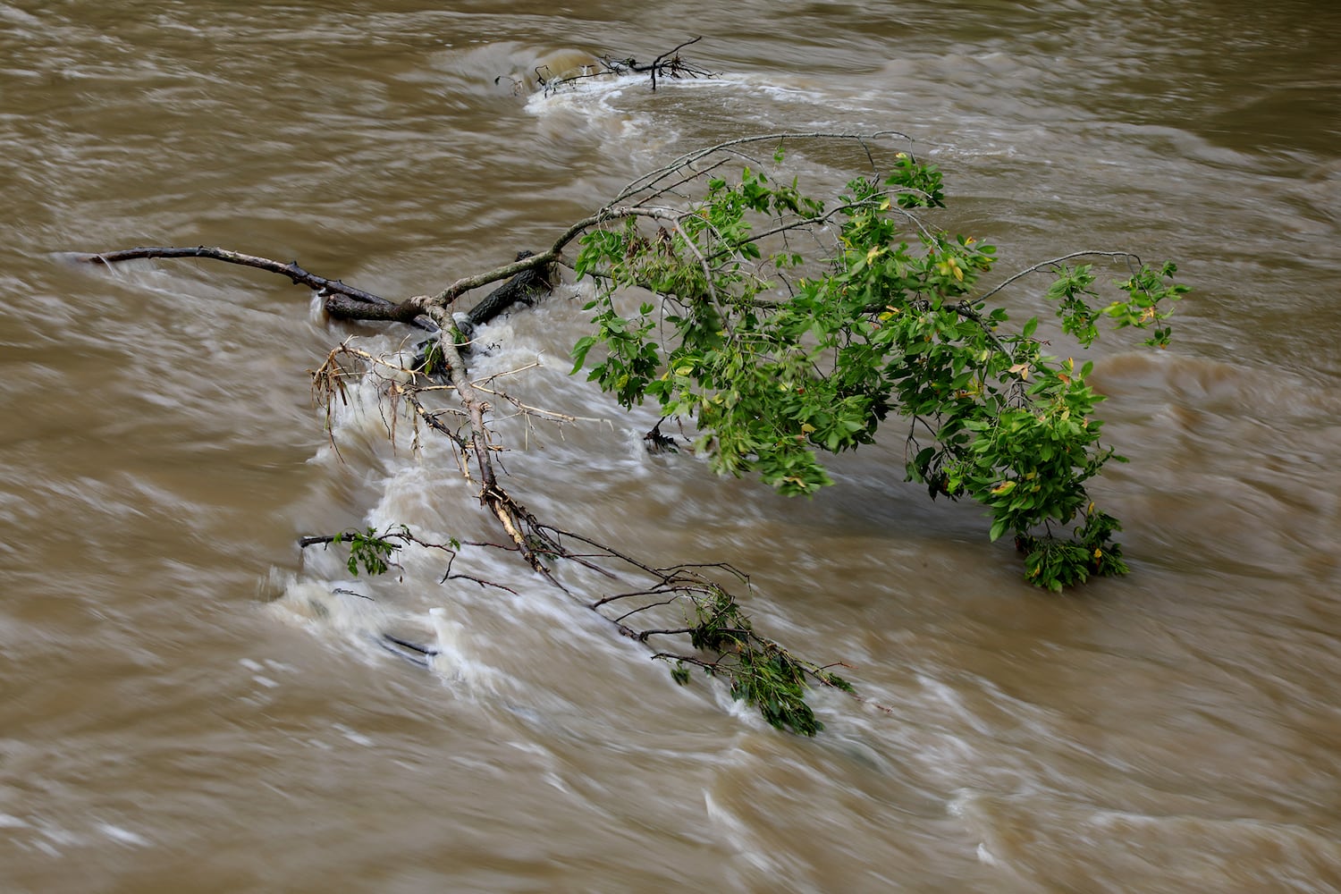 PHOTO: Clark County Rivers and Creeks