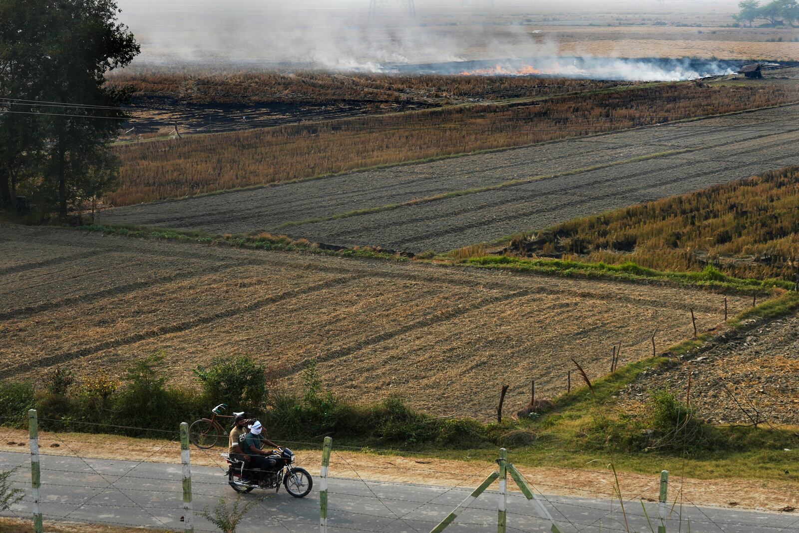 Farmers burn crop residue after harvest near Bundelkhand expressway some 330 kilometers (206 miles) from New Delhi, India, Sunday, Nov. 17, 2024. (AP Photo/Manish Swarup)