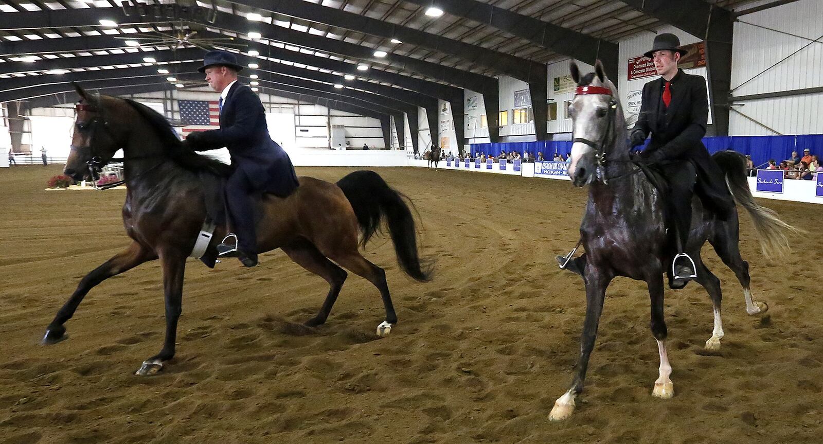 Competitors show their horses during the Arabian Horse Show Tin this file photo at the Champions Center at the Clark County Fairgrounds. Bill Lackey/Staff