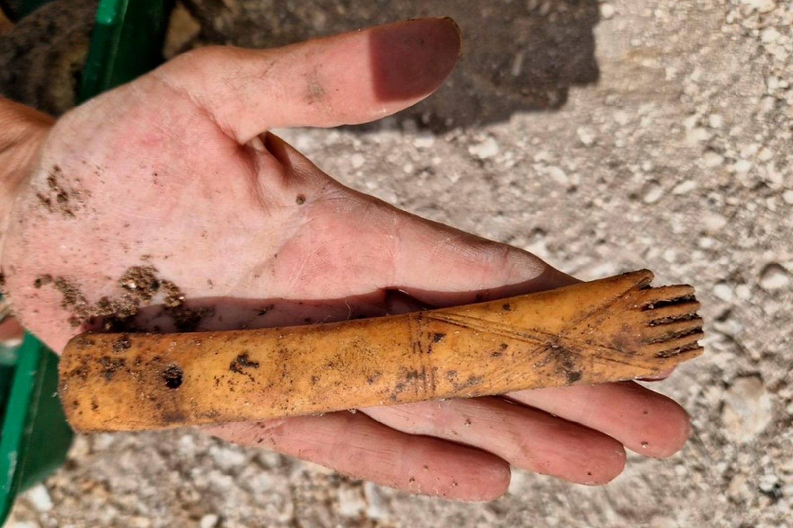 This photo provided by Bournemouth University in January 2025 shows a decorated bone comb from an Iron Age Celtic cemetery as part of the Durotriges tribe project dig in Dorset, southwest England. (Bournemouth University via AP)