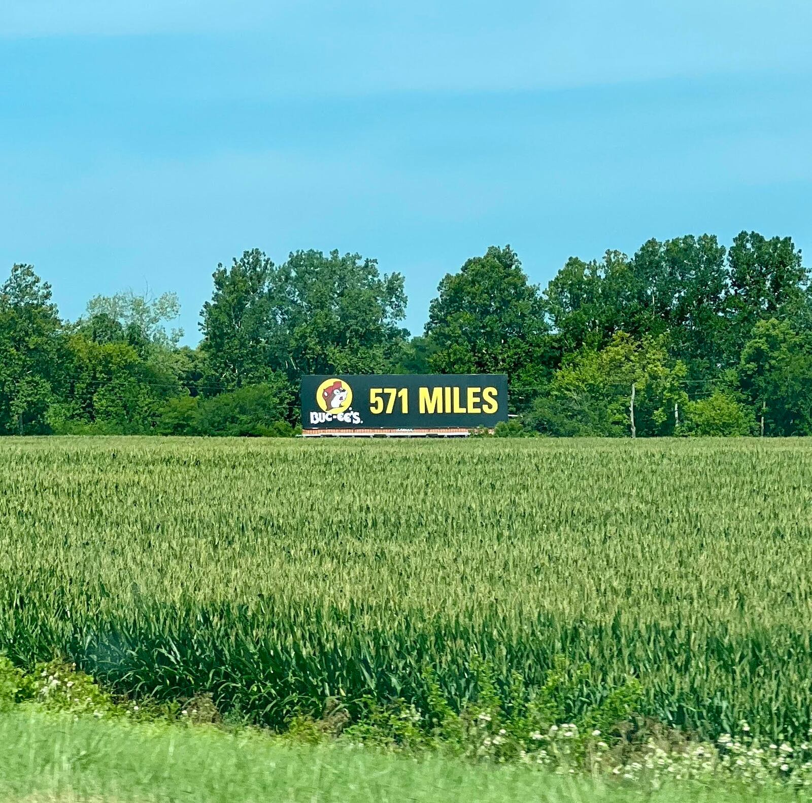 A billboard located off Interstate 70 West, just prior to the Ohio 235 interchange in Huber Heights, indicates that a Buc-ee's is located 571 miles away (in Springfield, Missouri). Within the next year and a half, that sign will likely signal to drivers that they're approaching the exit for Ohio's first Buc-ee's, which will be located just northeast of the I-70/Ohio 235 interchange. AIMEE HANCOCK/STAFF