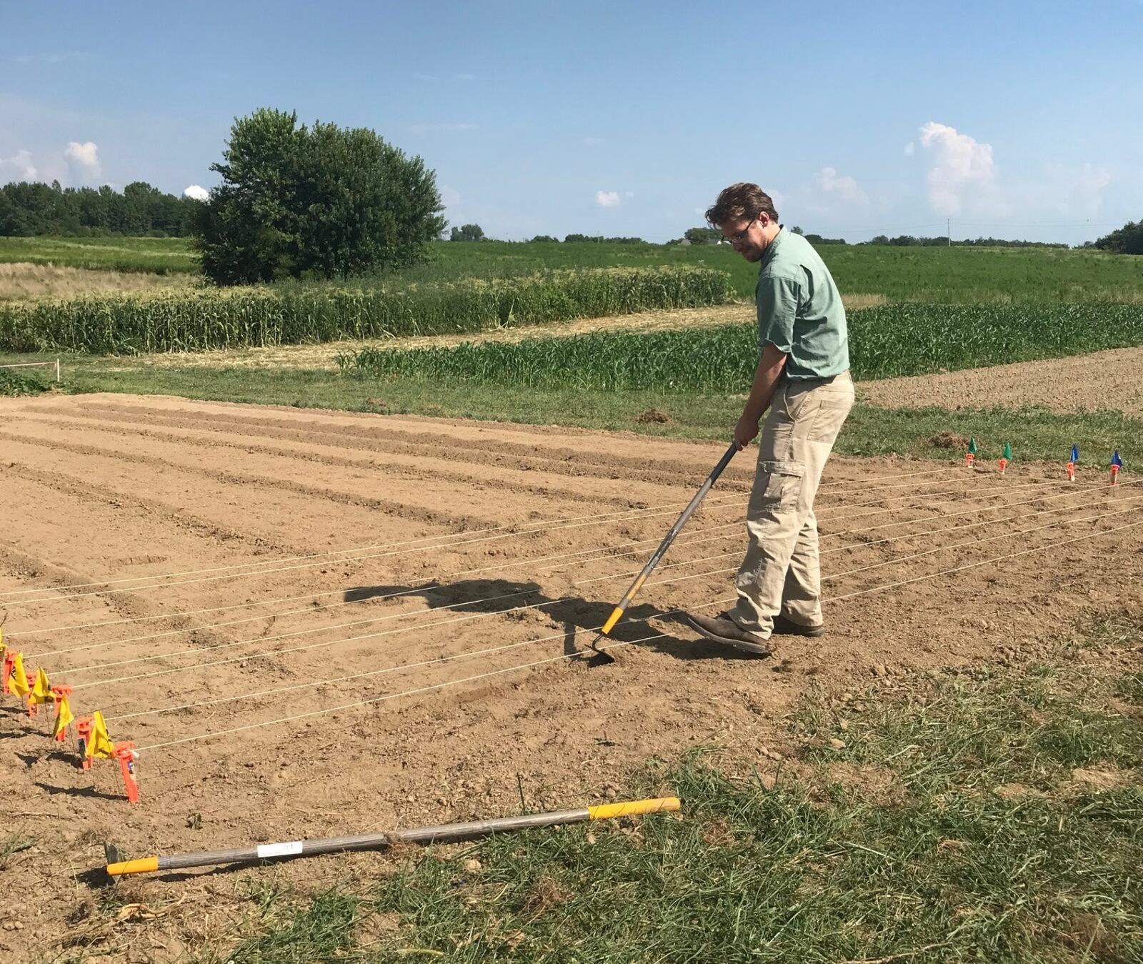 Craig Schluttenhofer oversees Central State University’s newly established hemp research program. The university launched the program last month after Gov. Mike DeWine signed a bill into law allowing universities to research the substance.