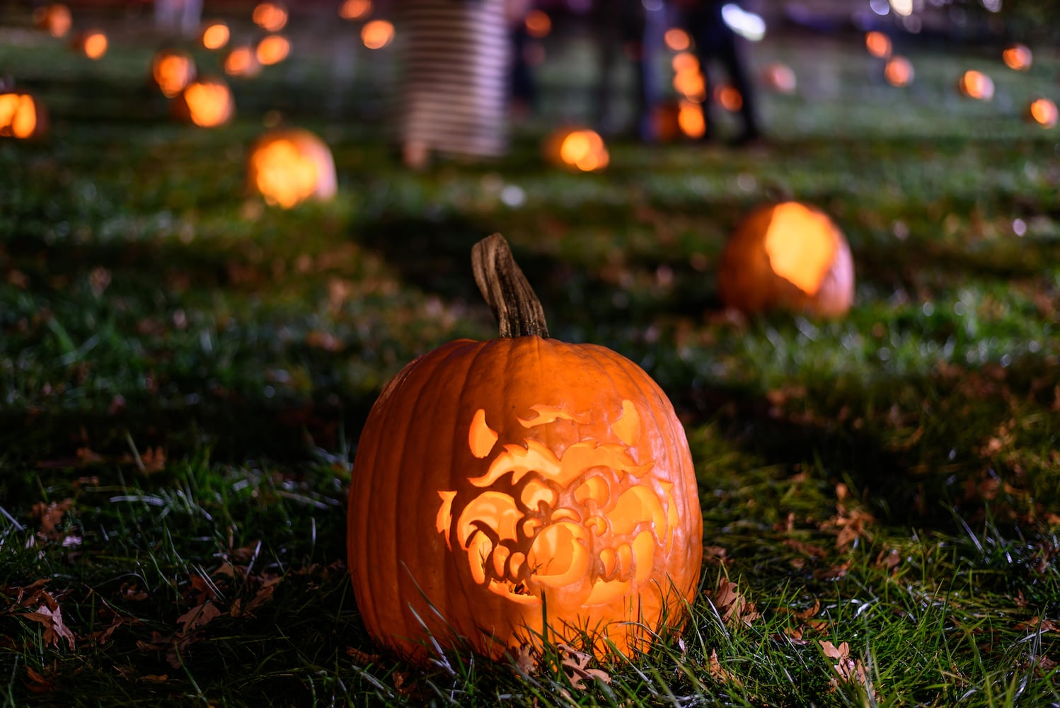 PHOTOS: The 30th annual Stoddard Avenue Pumpkin Glow