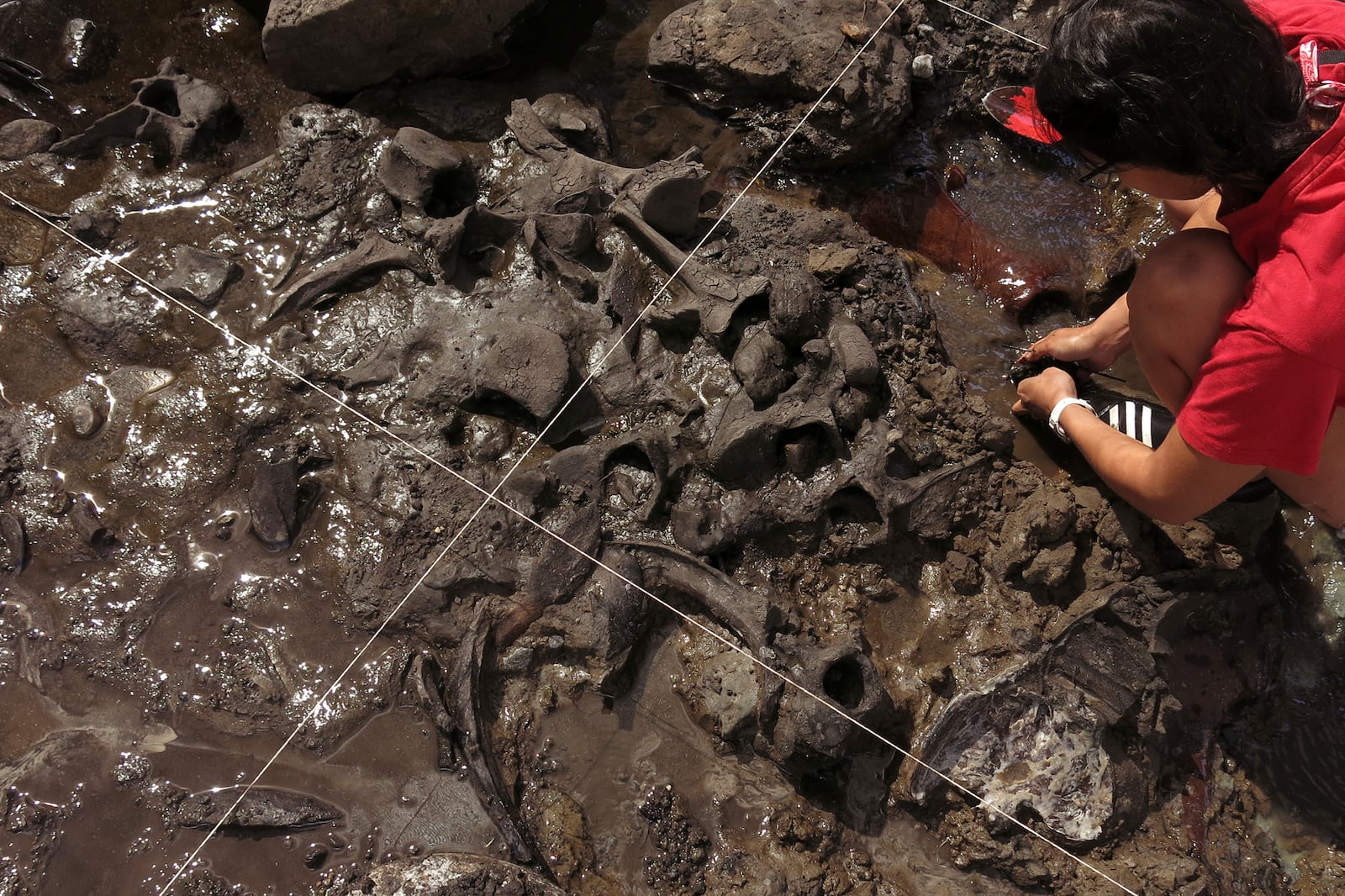 This photo provided by researchers shows fossils at the excavation site of Arroyo del Vizcaíno in Uruguay, where researchers have found evidence suggesting human occupation 30,000 years ago. (Martín Batallés via AP)