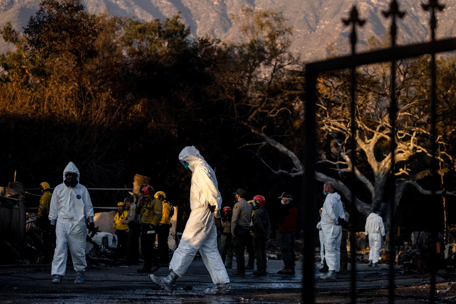 A search team looks for victims' remains at a home destroyed by the Eaton Fire in Altadena, Calif., Saturday, Jan. 11, 2025. (Stephen Lam/San Francisco Chronicle via AP)