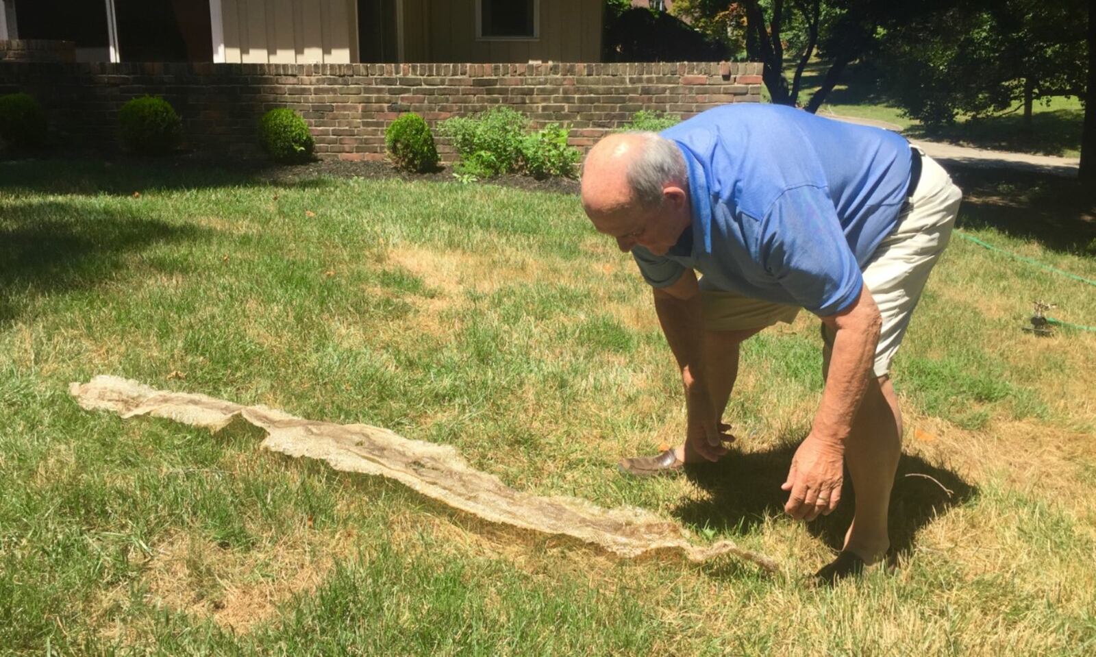 Snake skin found in Clark County