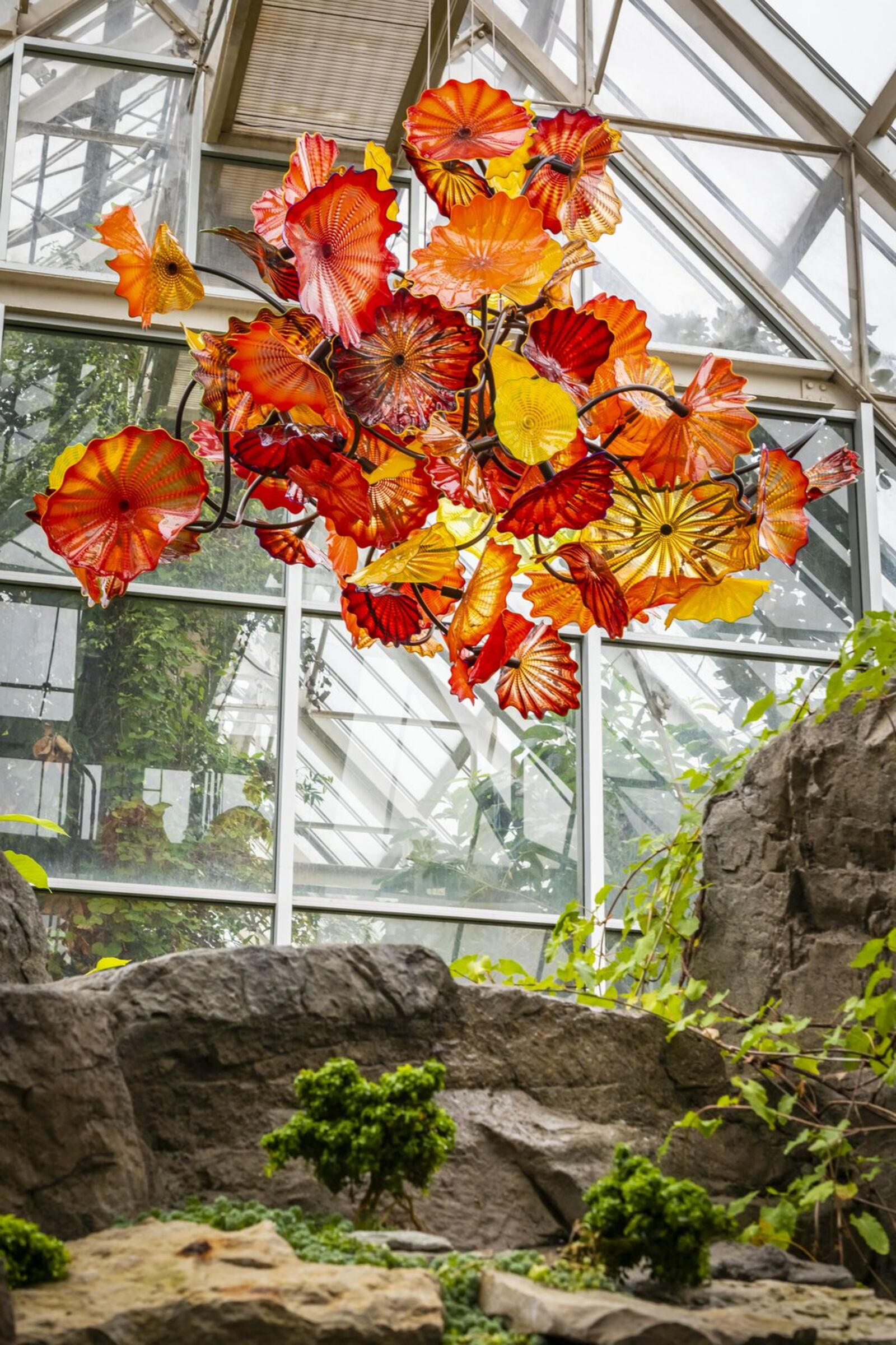 Dale Chihuly’s “Persian Chandelier” is on display at Franklin Park Conservatory. CONTRIBUTED/CHIHULY STUDIO