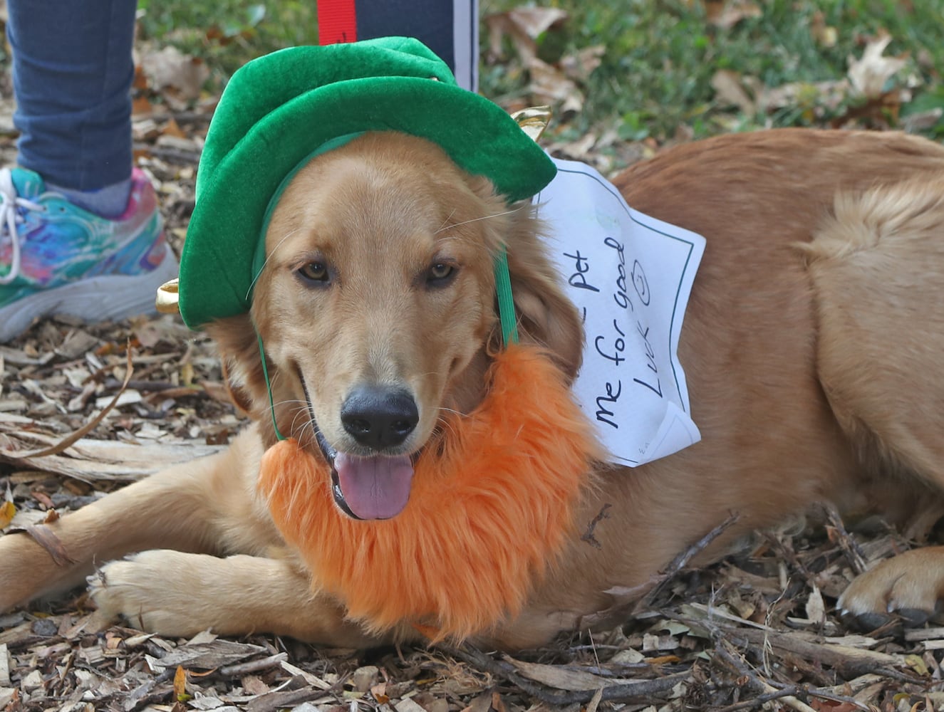 Yappy Howl-o-ween SNS