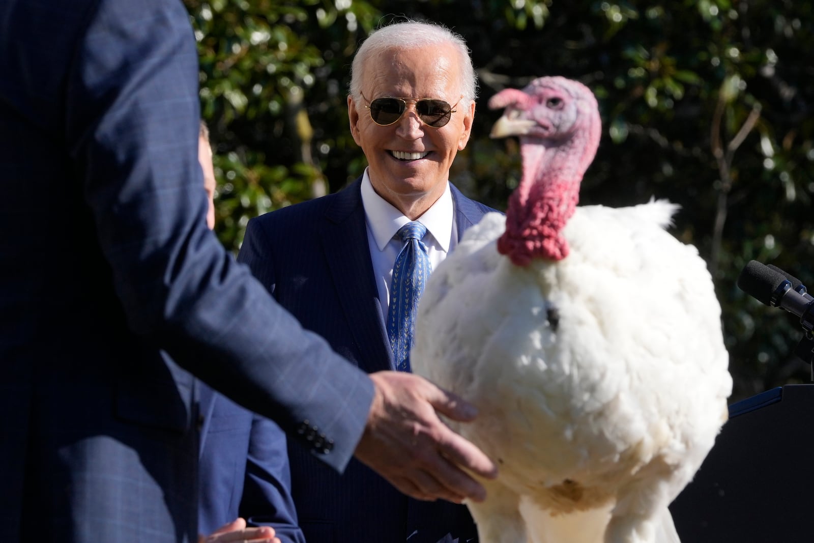 President Joe Biden is pictured after pardoning the national Thanksgiving turkey, Peach, during a ceremony on the South Lawn of the White House in Washington, Monday, Nov. 25, 2024. (AP Photo/Mark Schiefelbein)