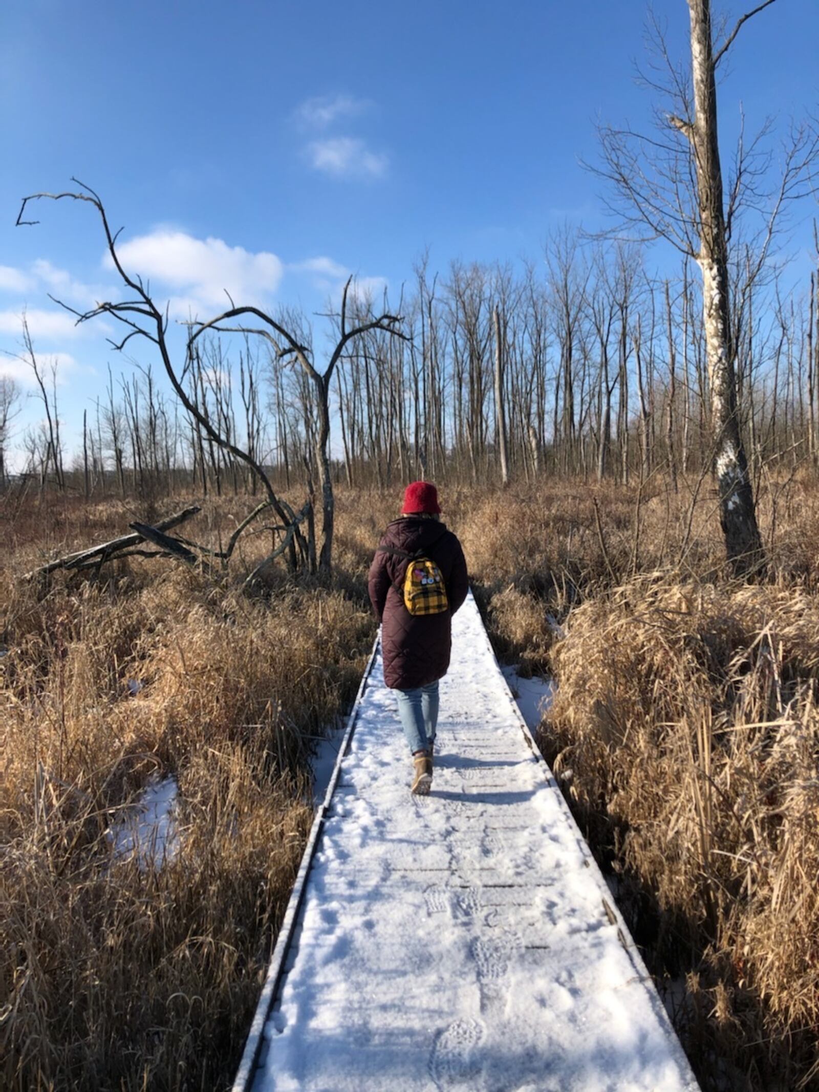 Wintertime hiking can be more peaceful during busier times of the year, more conducive to thoughtful time alone to reflect and above all, it’s nature’s simple, annual reminder that it’s okay to rest and recover.