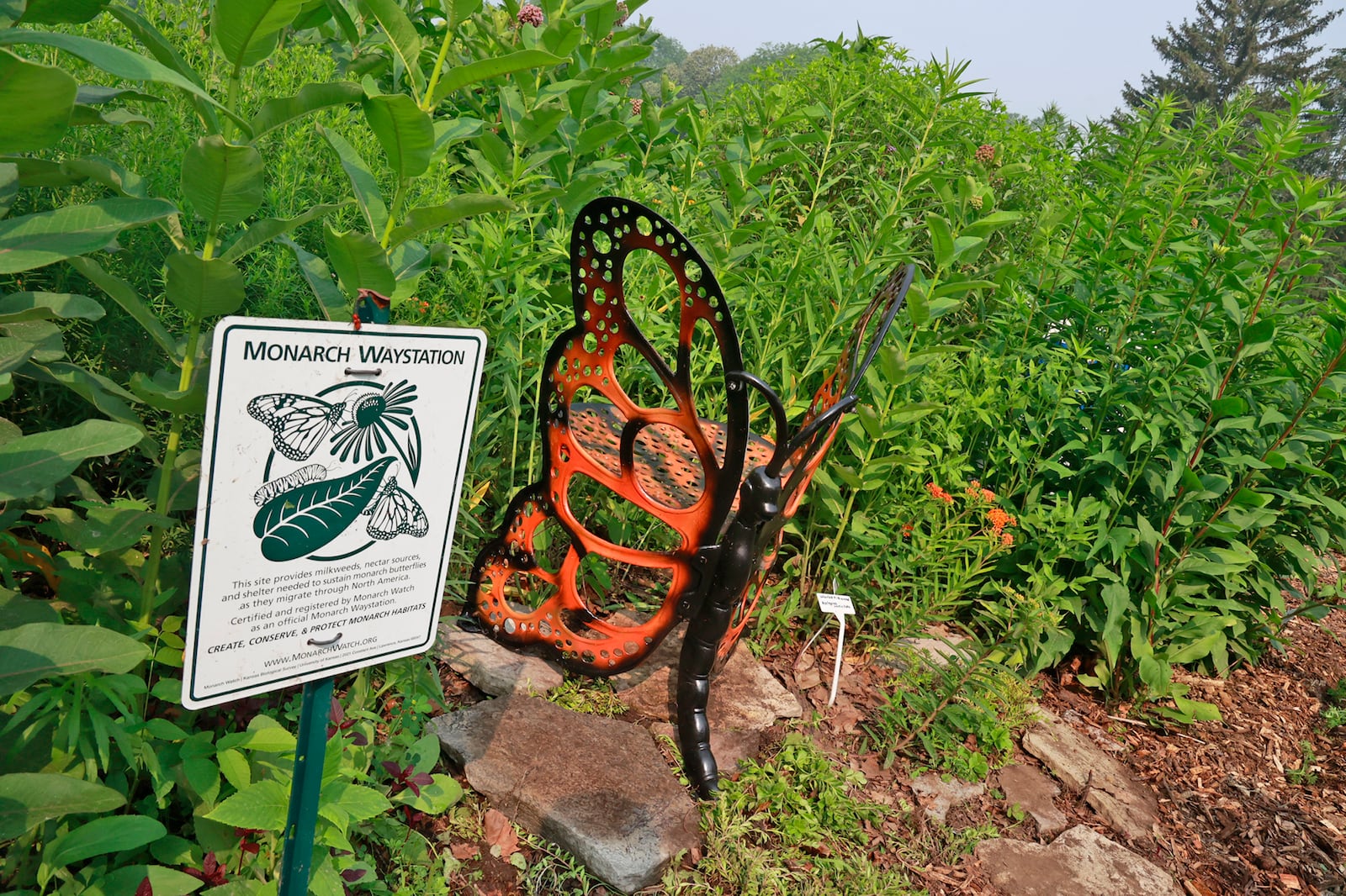 The Butterfly Buffet garden in the Snyder Park Gardens and Arboretum has been certified to be a Monarch butterfly waystation. BILL LACKEY/STAFF