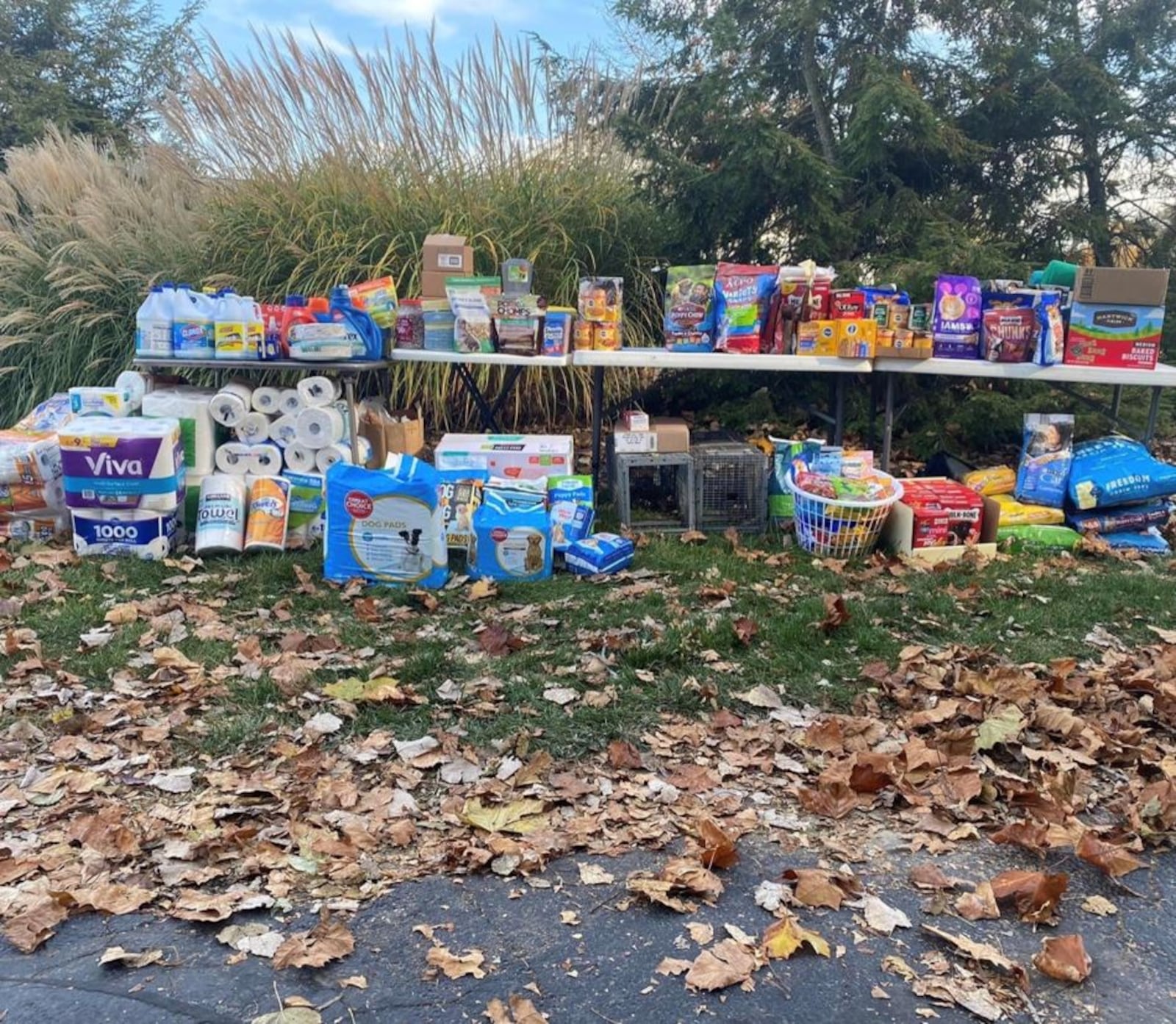 King Kennel will host its third annual trunk-or-treat for dogs fundraiser on Saturday, Oct. 21 from 12:30 to 3 p.m. in the parking lot at 20 Critter Court in Springfield. Contributed