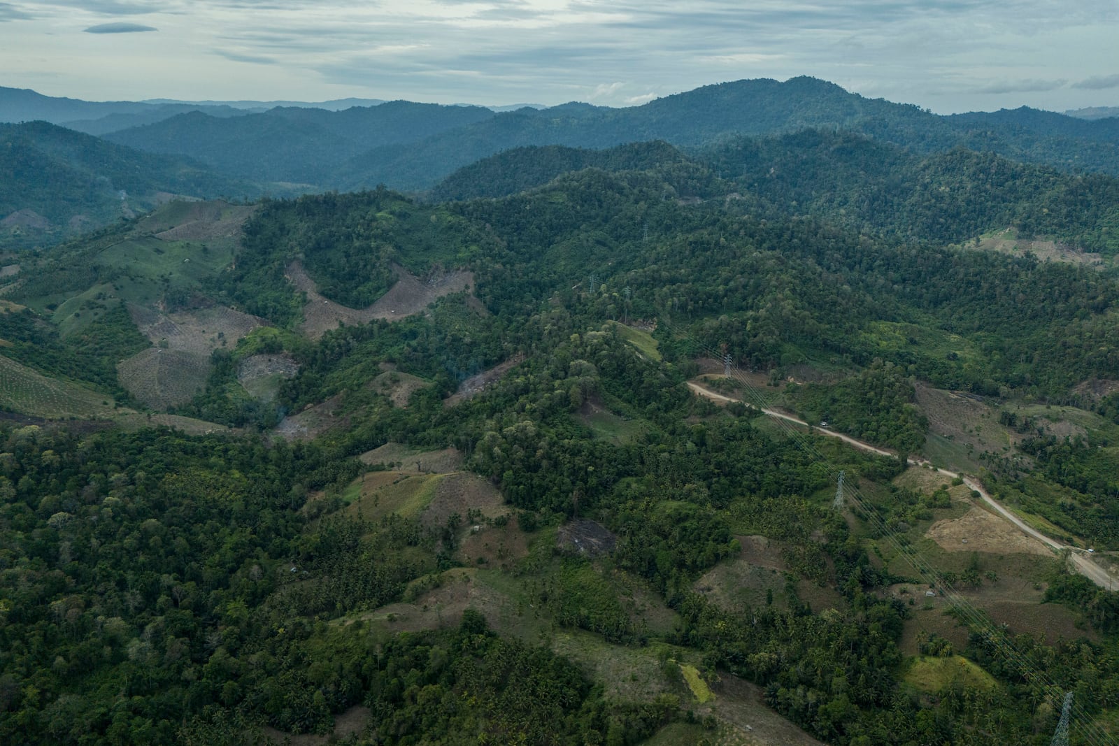 Deforestation is visible near the areas of several wood pellet production companies in Pohuwato, Gorontalo province, Indonesia, Tuesday, Oct. 22, 2024. (AP Photo/Yegar Sahaduta Mangiri)