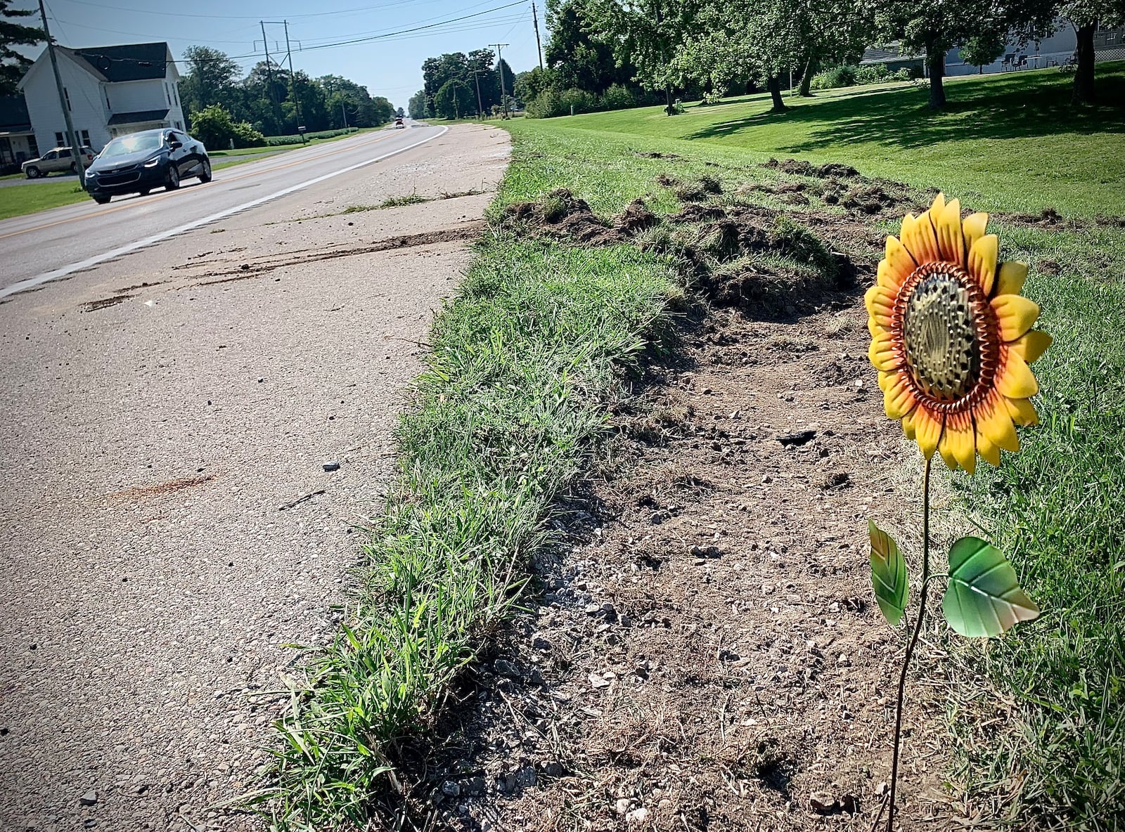 A passerby leaves a sunflower at the scene of a fatal bus crash on Troy Road near Lawrenceville Tuesday August 22, 2023. MARSHALL GORBY \STAFF