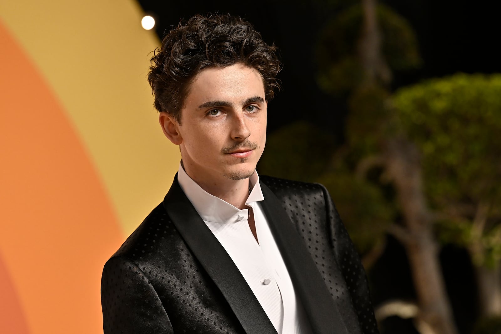 Timothee Chalamet arrives at the Vanity Fair Oscar Party on Sunday, March 2, 2025, at the Wallis Annenberg Center for the Performing Arts in Beverly Hills, Calif. (Photo by Evan Agostini/Invision/AP)