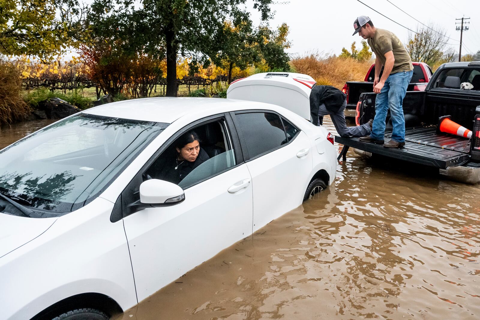 Leticia Lezama sits in her disabled car as Gabe Sitton works to rescue her from floodwaters on Slusser Rd. as heavy rains fall in Windsor, Calif., on Friday, Nov. 22, 2024. (Photo by Noah Berger)