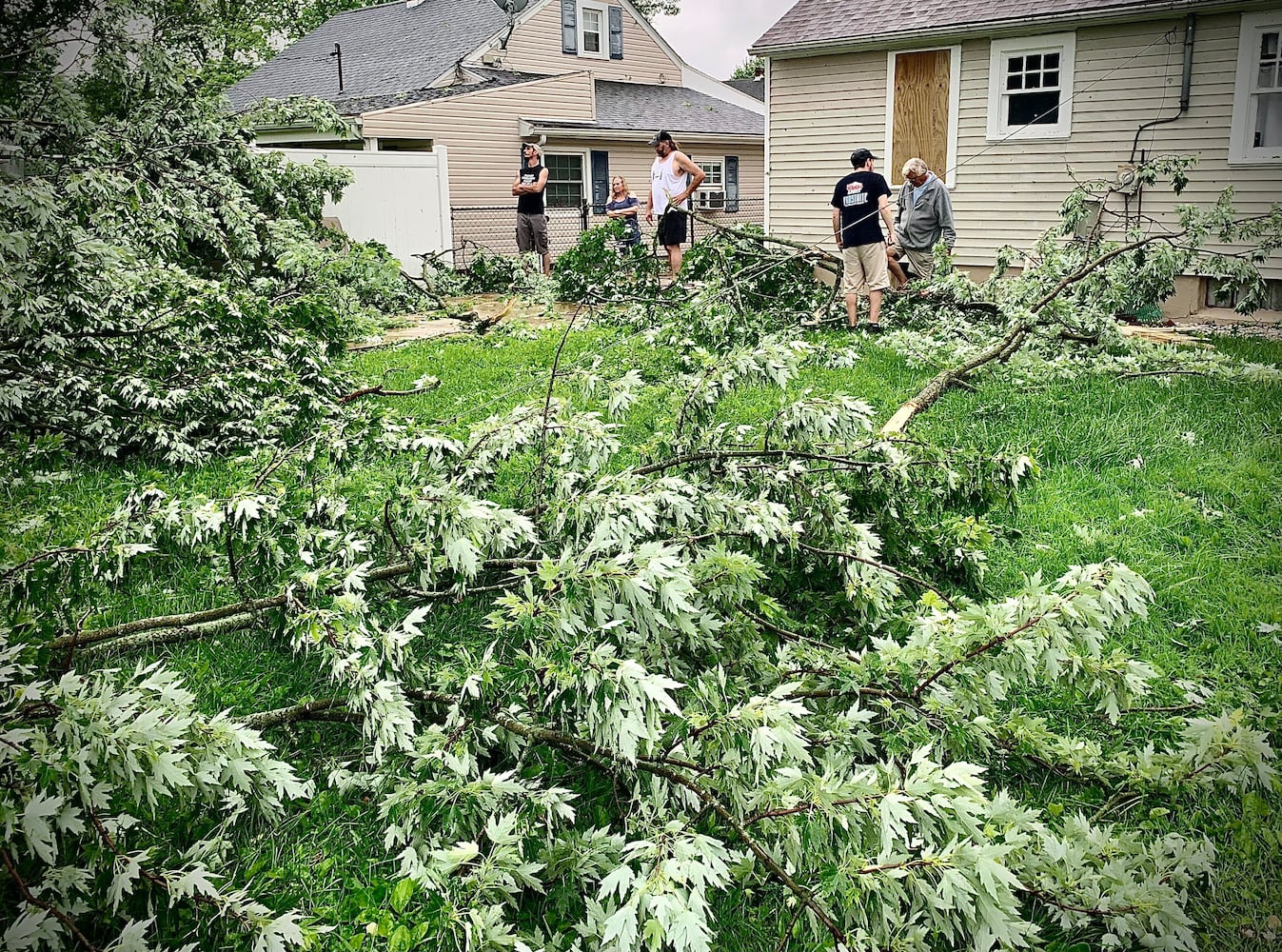 Springfield storm damage