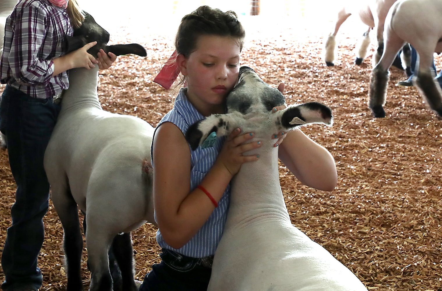 Clark County Fair