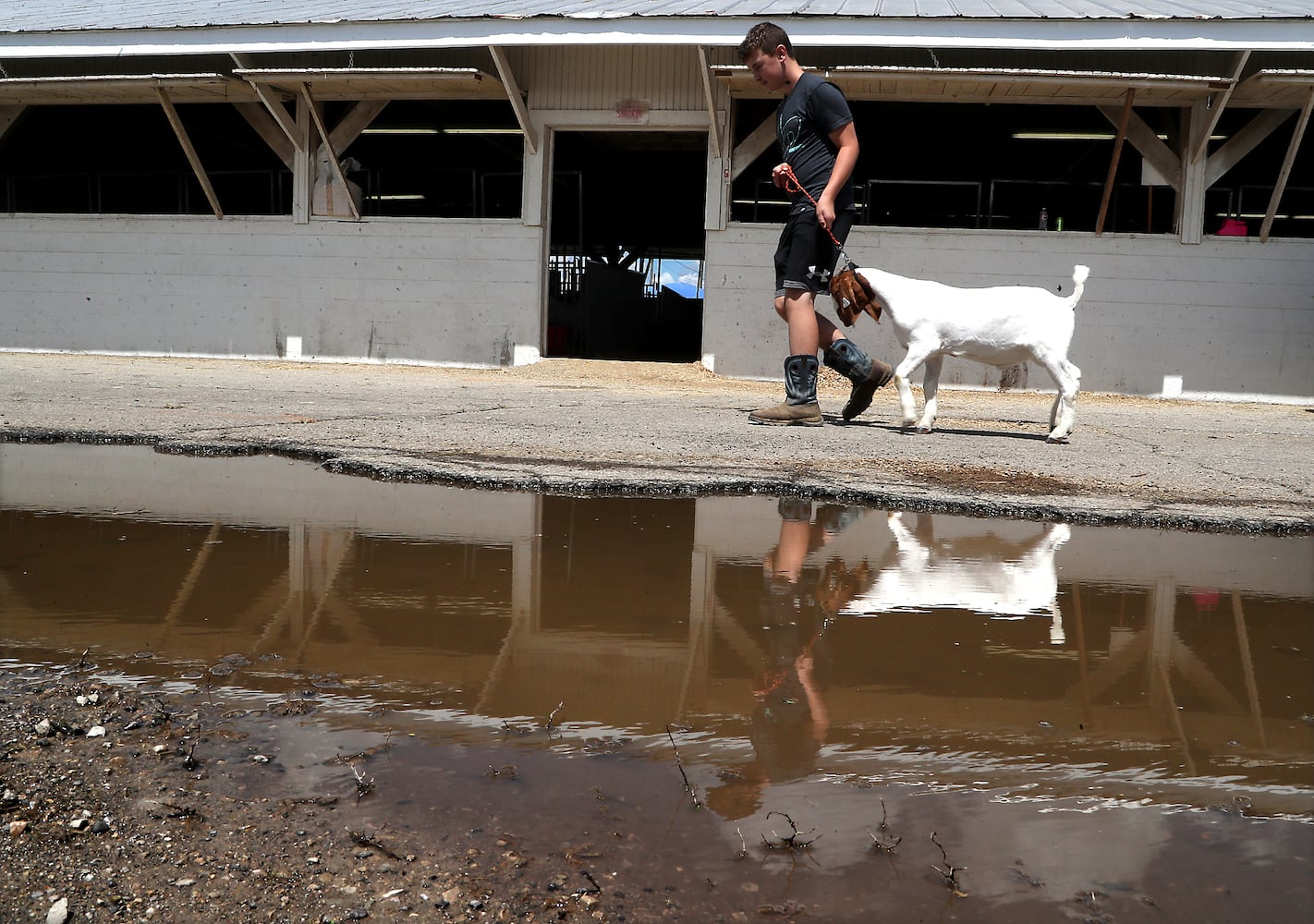 Clark County Fair