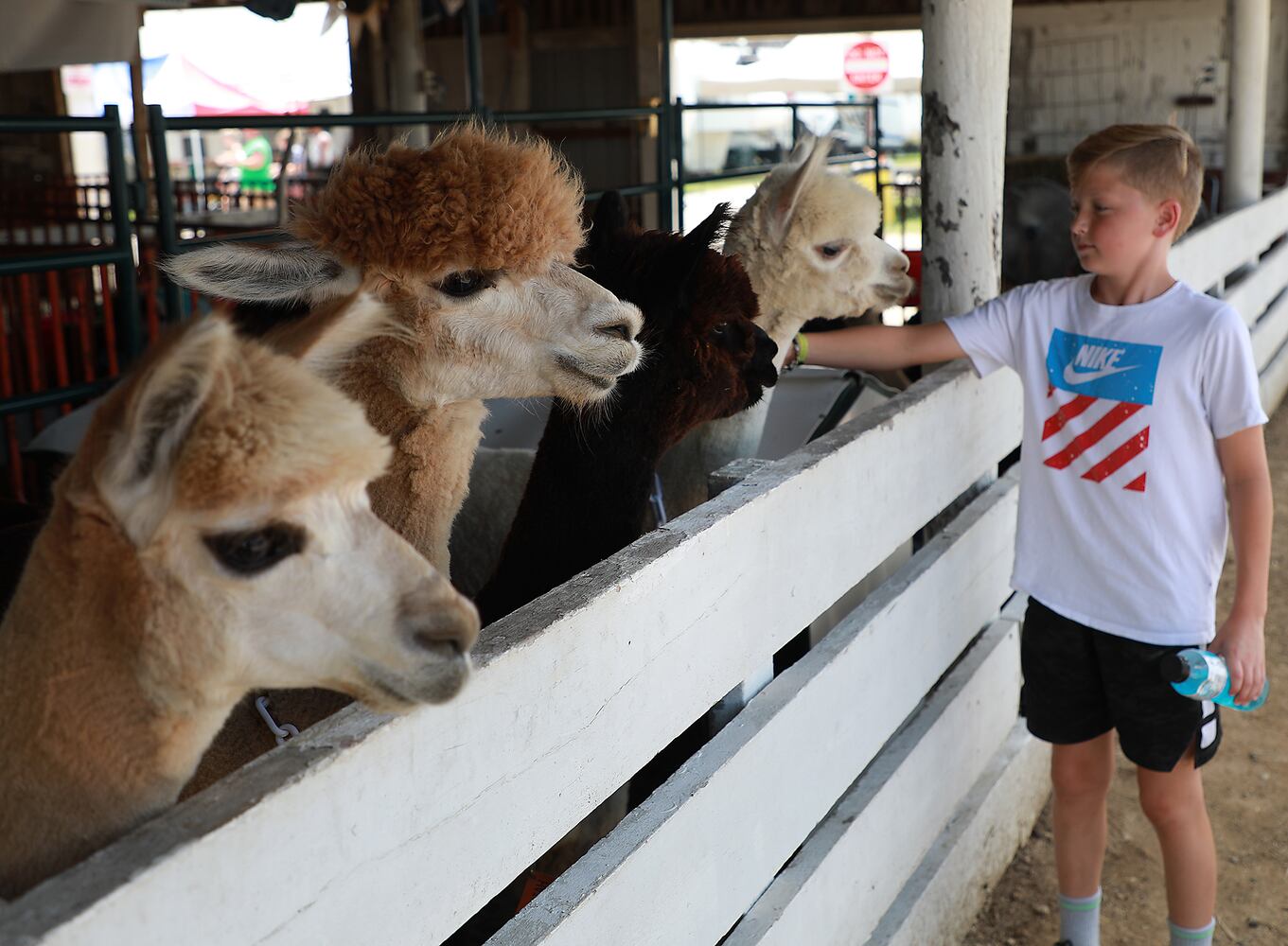 85 PHOTOS: 2019 Clark County Fair