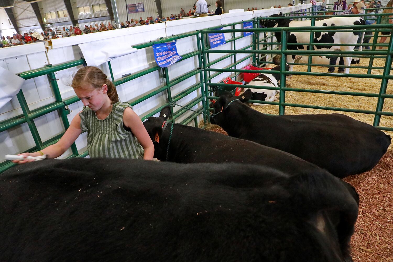 85 PHOTOS: 2019 Clark County Fair