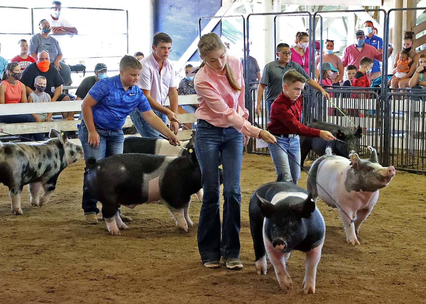 Clark County Fair