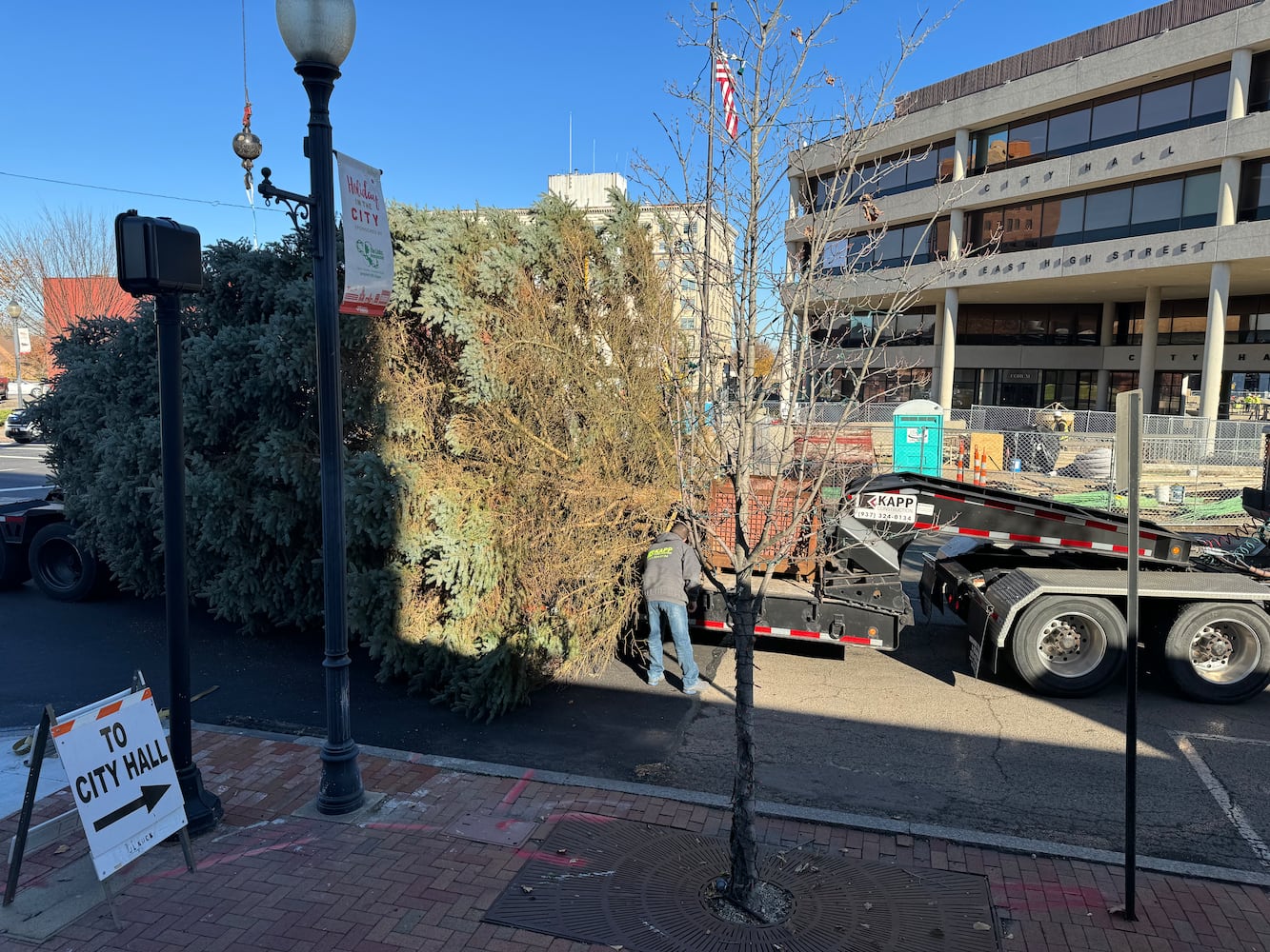 Holiday in the City Tree Arrival