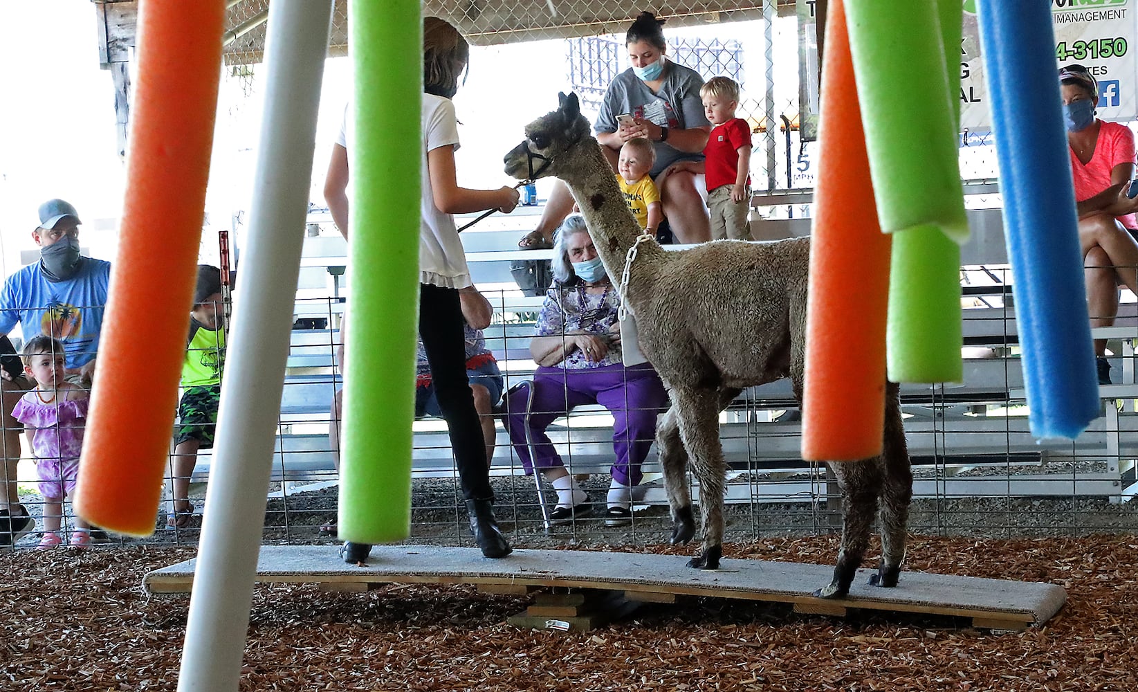 Clark County Fair