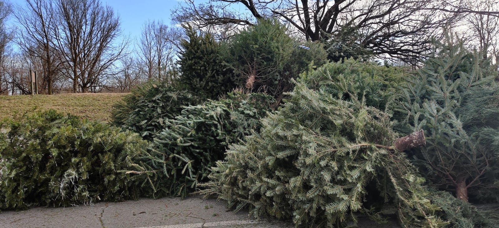 To participate, the public can recycle their trees by dropping them off at Eastwood MetroPark (lake side), 1401 Harshman Road, from Dec. 26 to Dec. 31 and Jan. 2 to Jan. 31. Eastwood MetroPark is closed Jan 1.