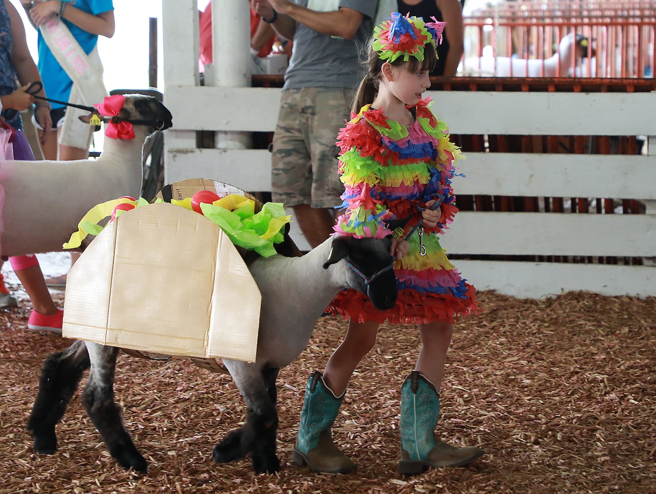 85 PHOTOS: 2019 Clark County Fair