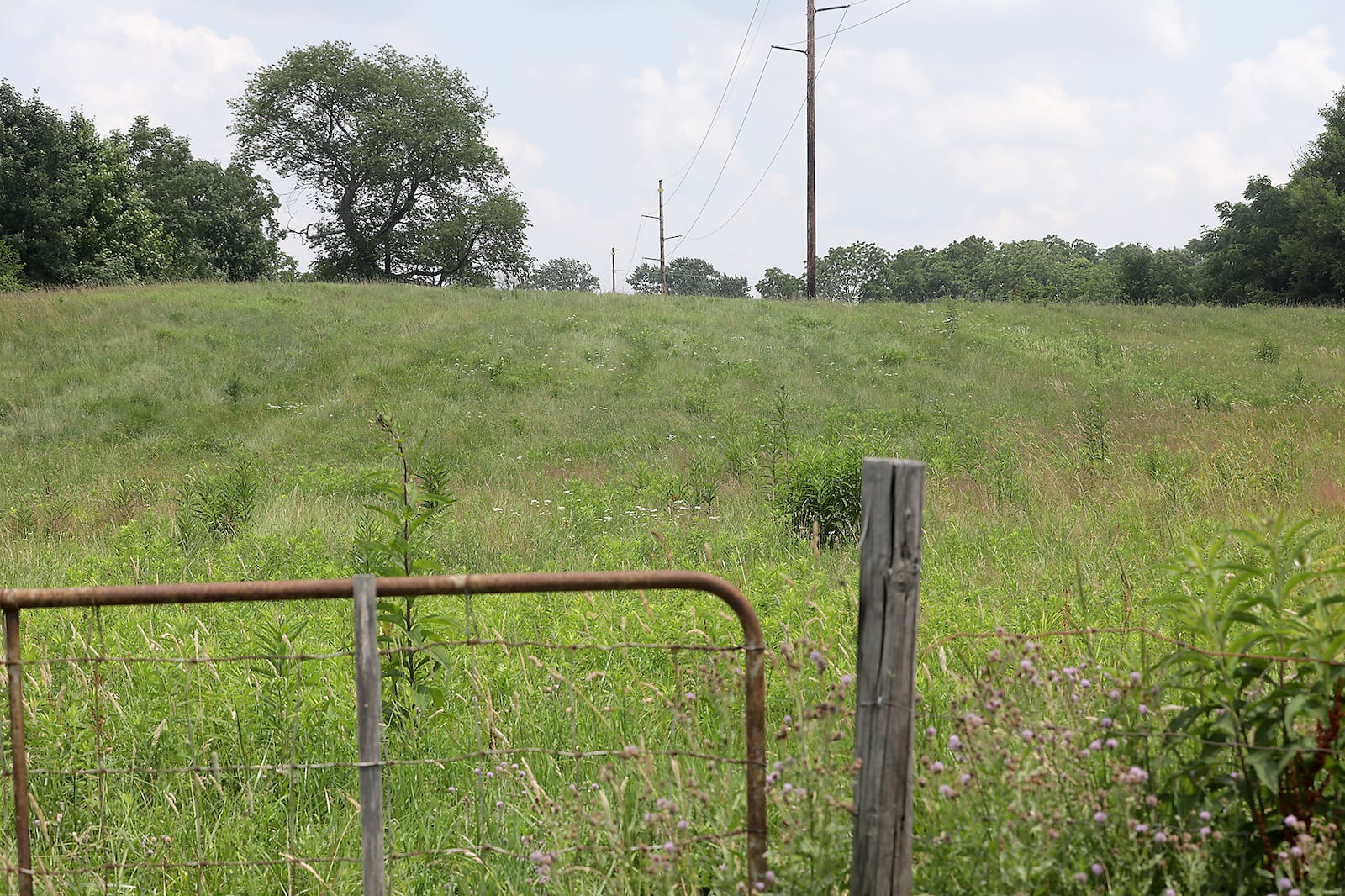 The empty lot at 330 Tuttle Road where an ALDI grocery store is planned. BILL LACKEY/STAFF