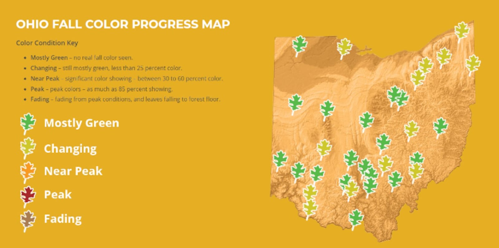 Ohio Fall Color Progress Map courtesy the Ohio Department of Natural Resources.