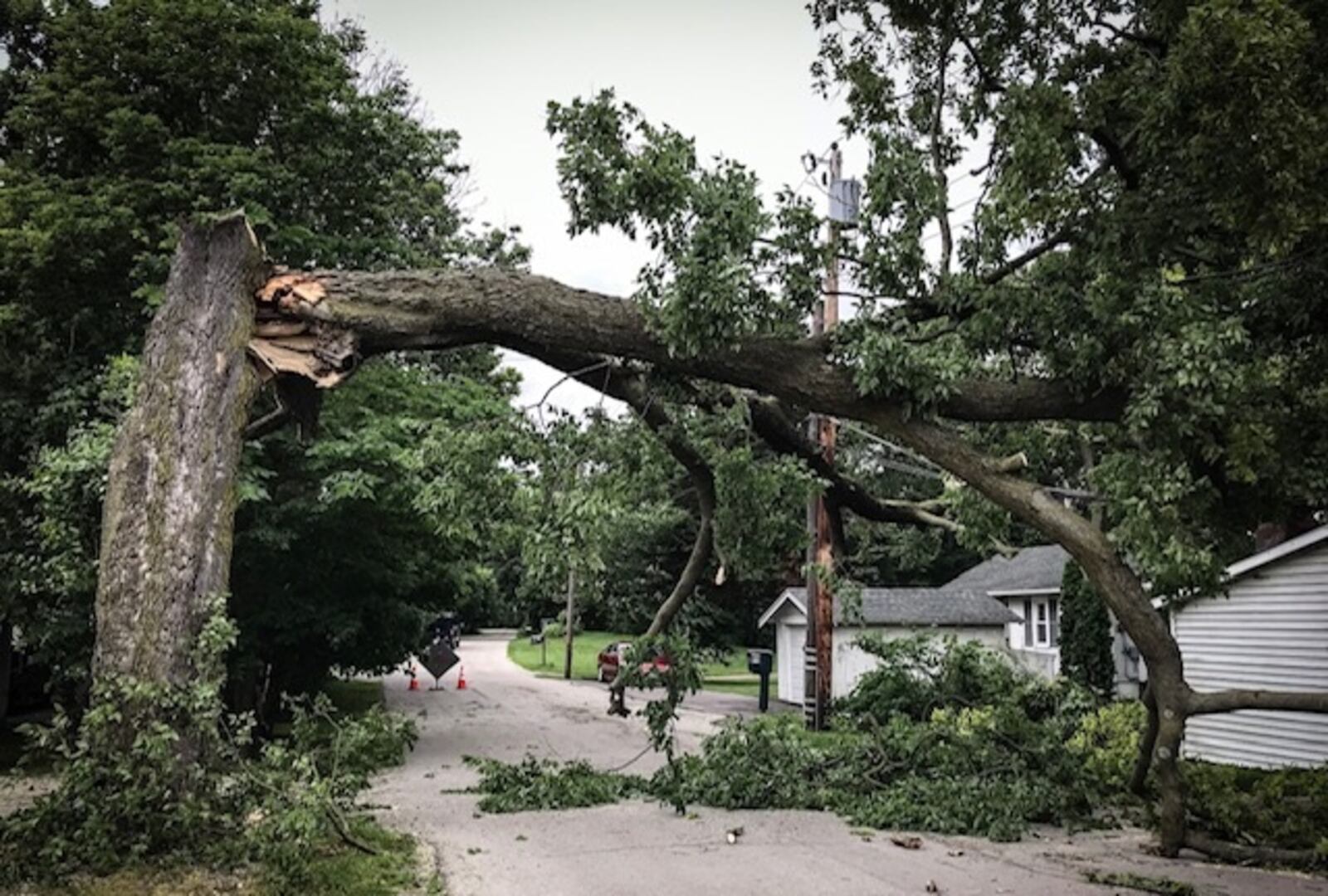 A tree trunk snapped during high winds June 13, 2019, on Valleyview Drive in Englewood, Ohio.