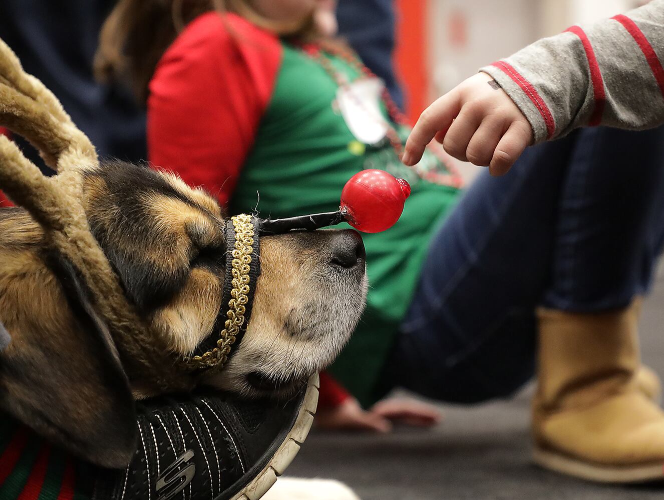 PHOTOS: Rotary Club's Christmas Party for Disabled Children