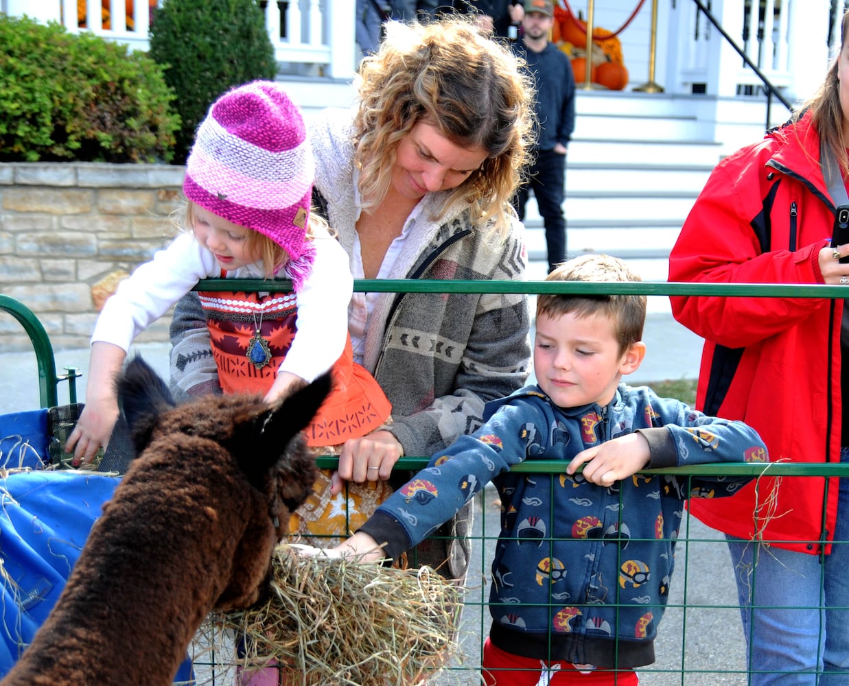 Did we spot you at the Yellow Springs Street Fair?