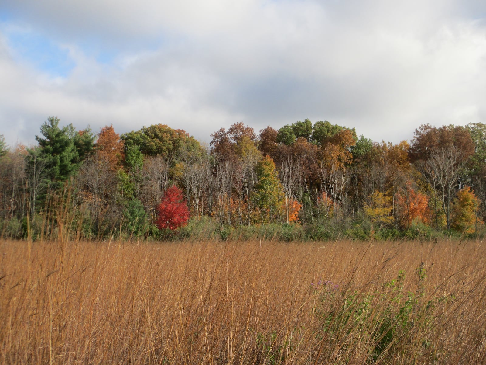 Jack Louden of Centerville took this photo at Grant Park in Centerville on Oct. 21, 2014.