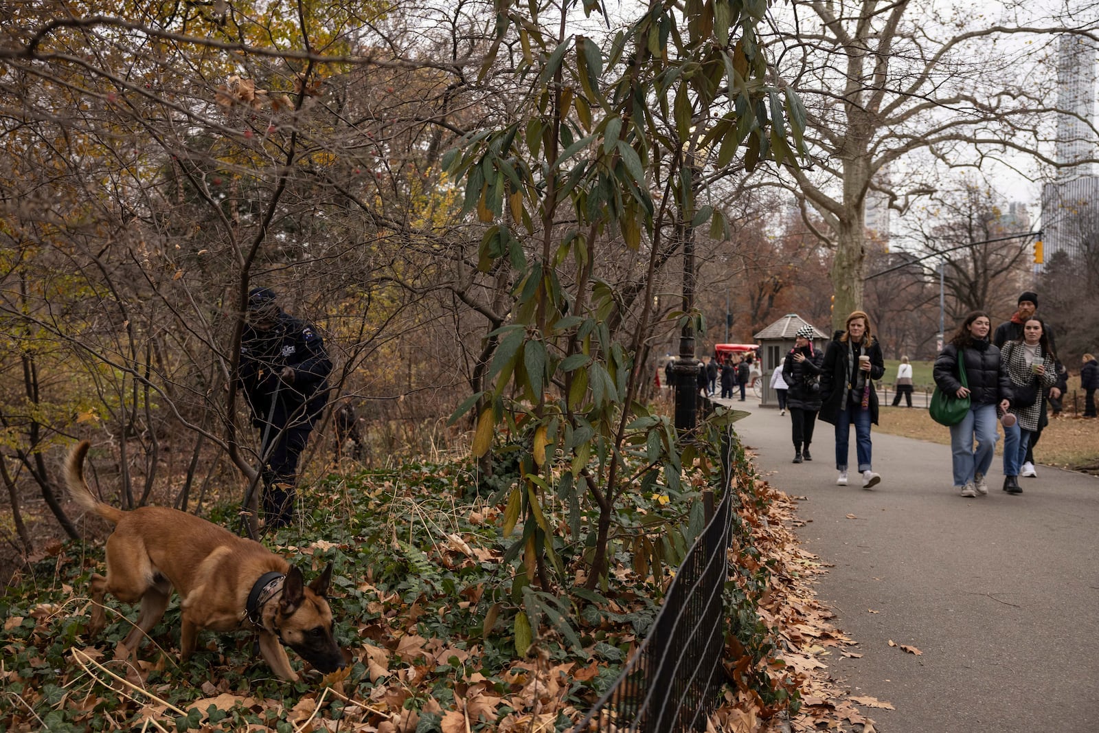 NYPD officers and K-9 dog search around the lake in the Central Park, Monday, Dec. 9, 2024, in New York. (AP Photo/Yuki Iwamura)