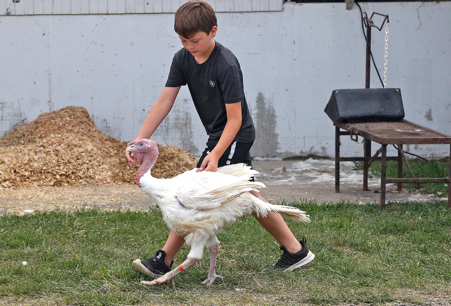 072423 Clark County Fair SNS