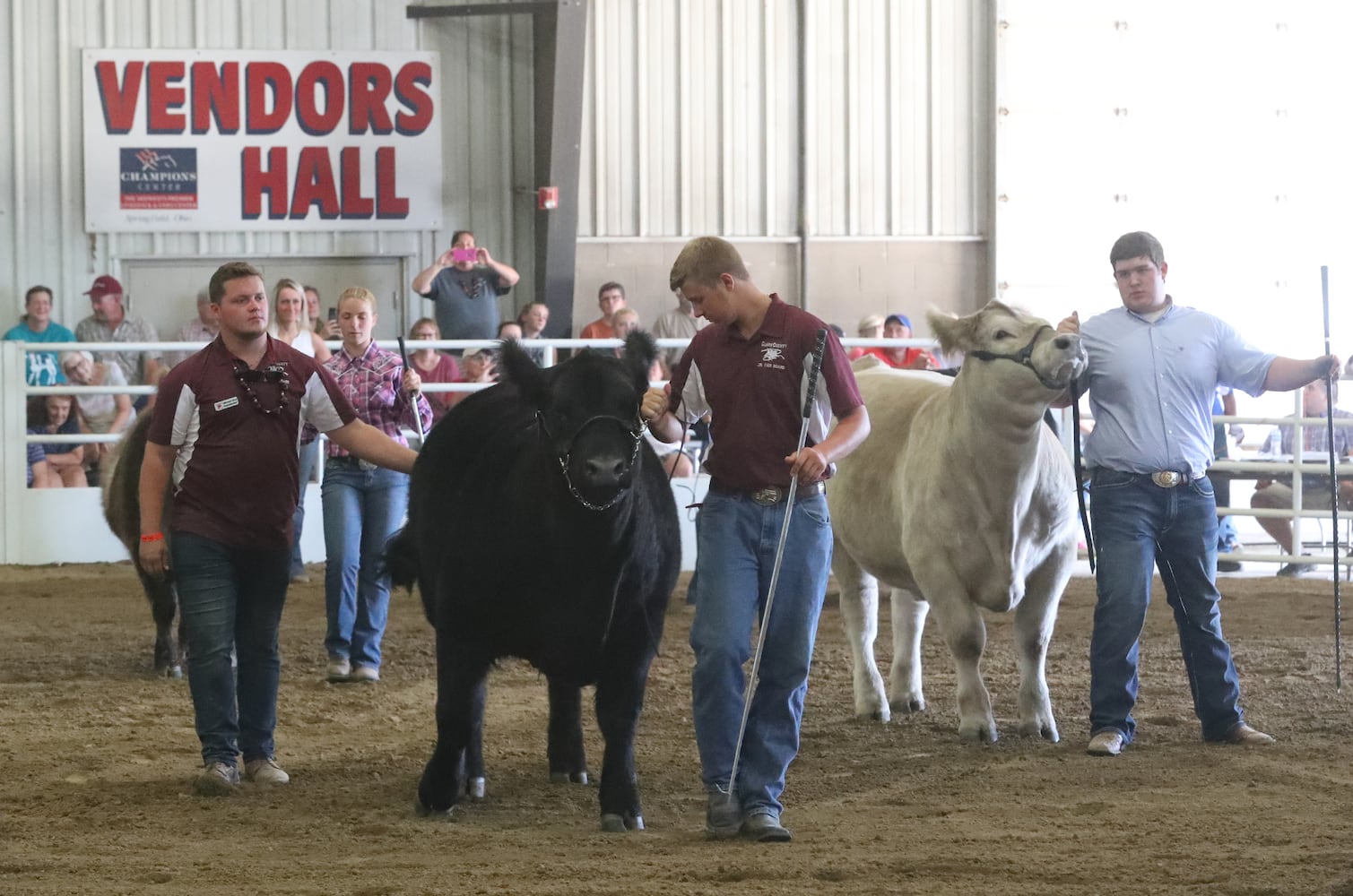 85 PHOTOS: 2019 Clark County Fair