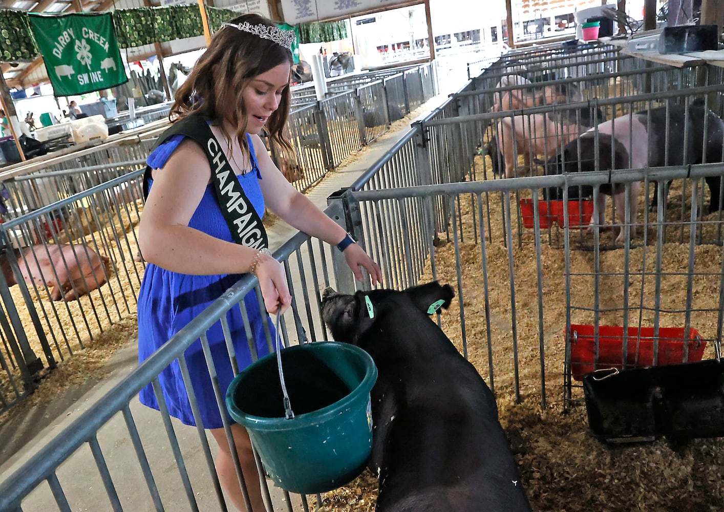 Champaign Co Fair SNS