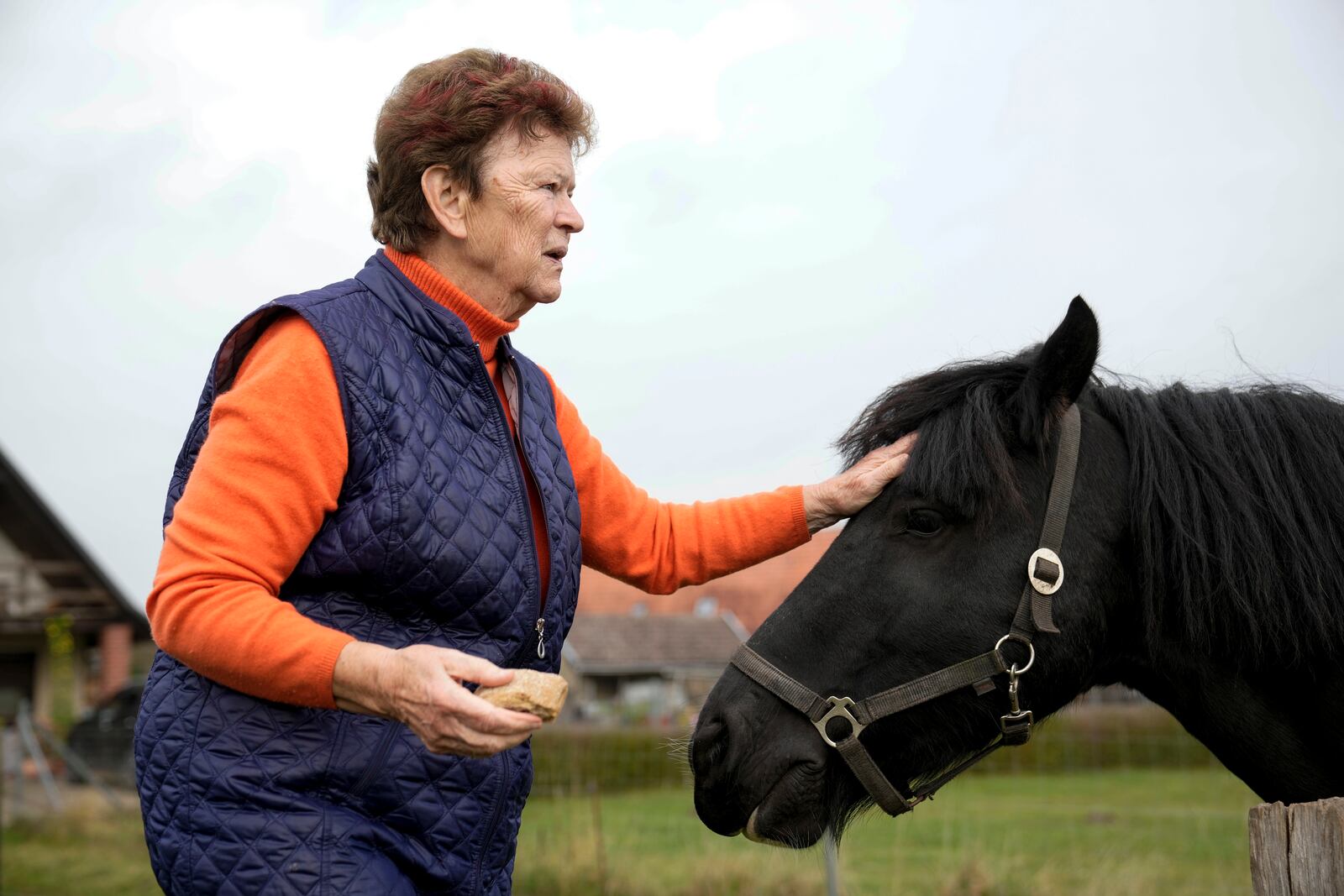 Solveig Leo, 81, former head of a large state-owned farm feeds her horse after the interview with the Associated Press in the northeastern village of Banzkow, Germany, Monday, Oct. 28, 2024. (AP Photo/Ebrahim Noroozi)