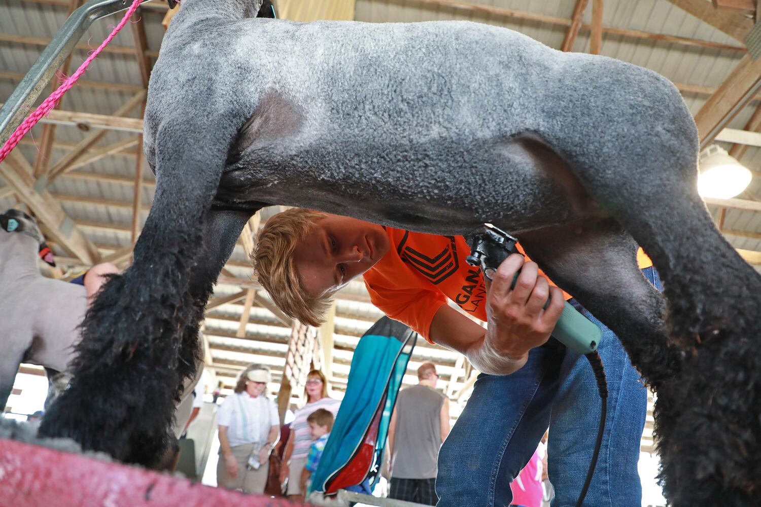 PHOTOS: Sunday at the Champaign County Fair